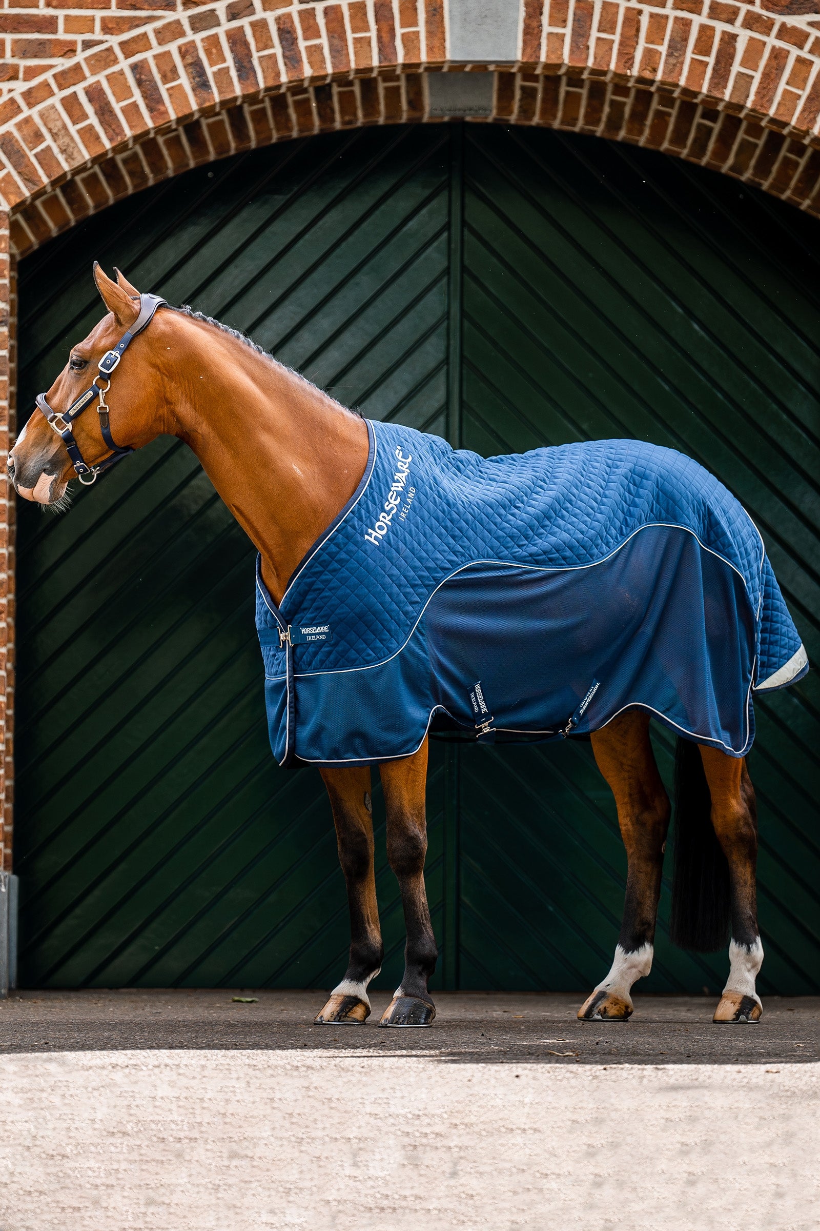 Horseware Signature szállító takaró, 50g Lótakarók