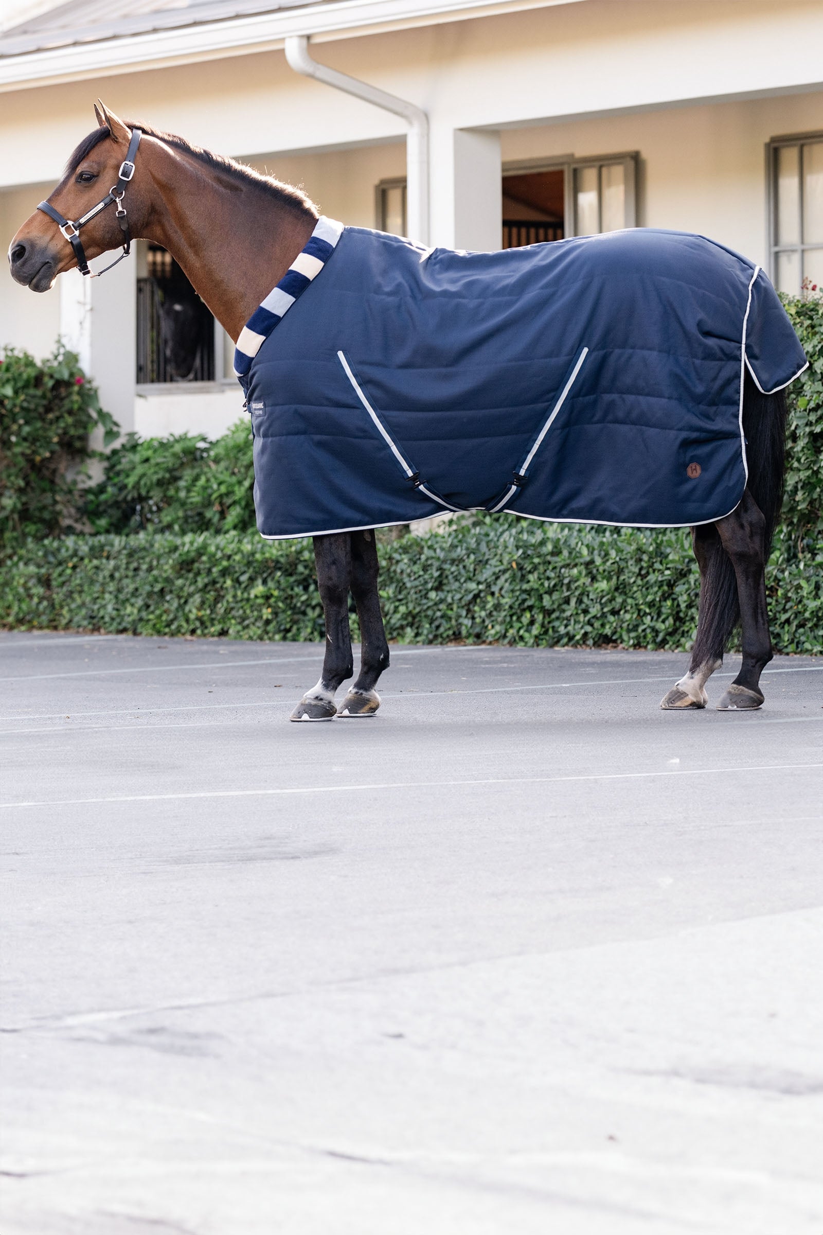 Horseware Newmarket Cosy Istálló Takaró 100g Lótakarók