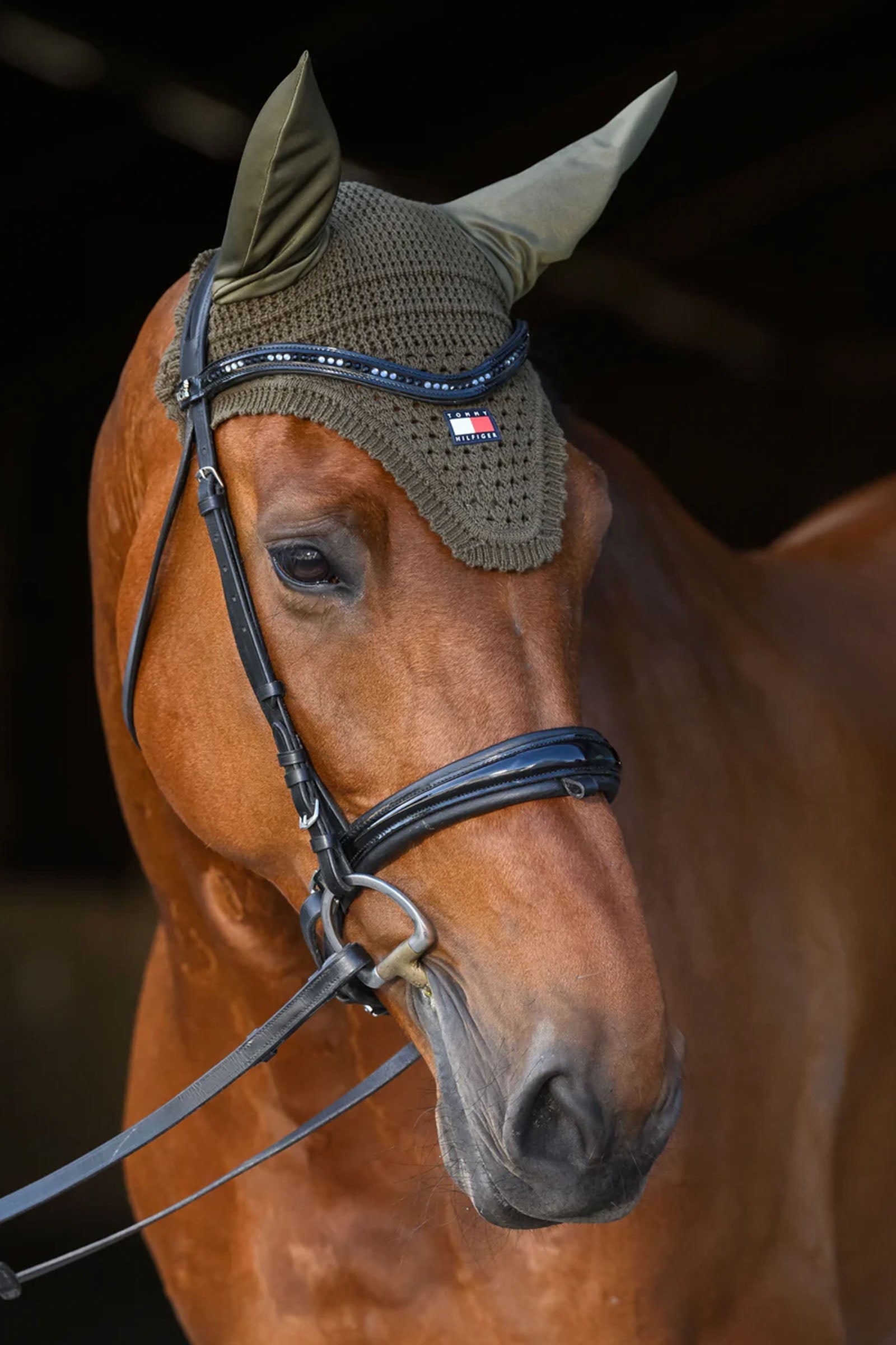 Tommy Hilfiger Equestrian Lexington Fly Hood Saddle Pads