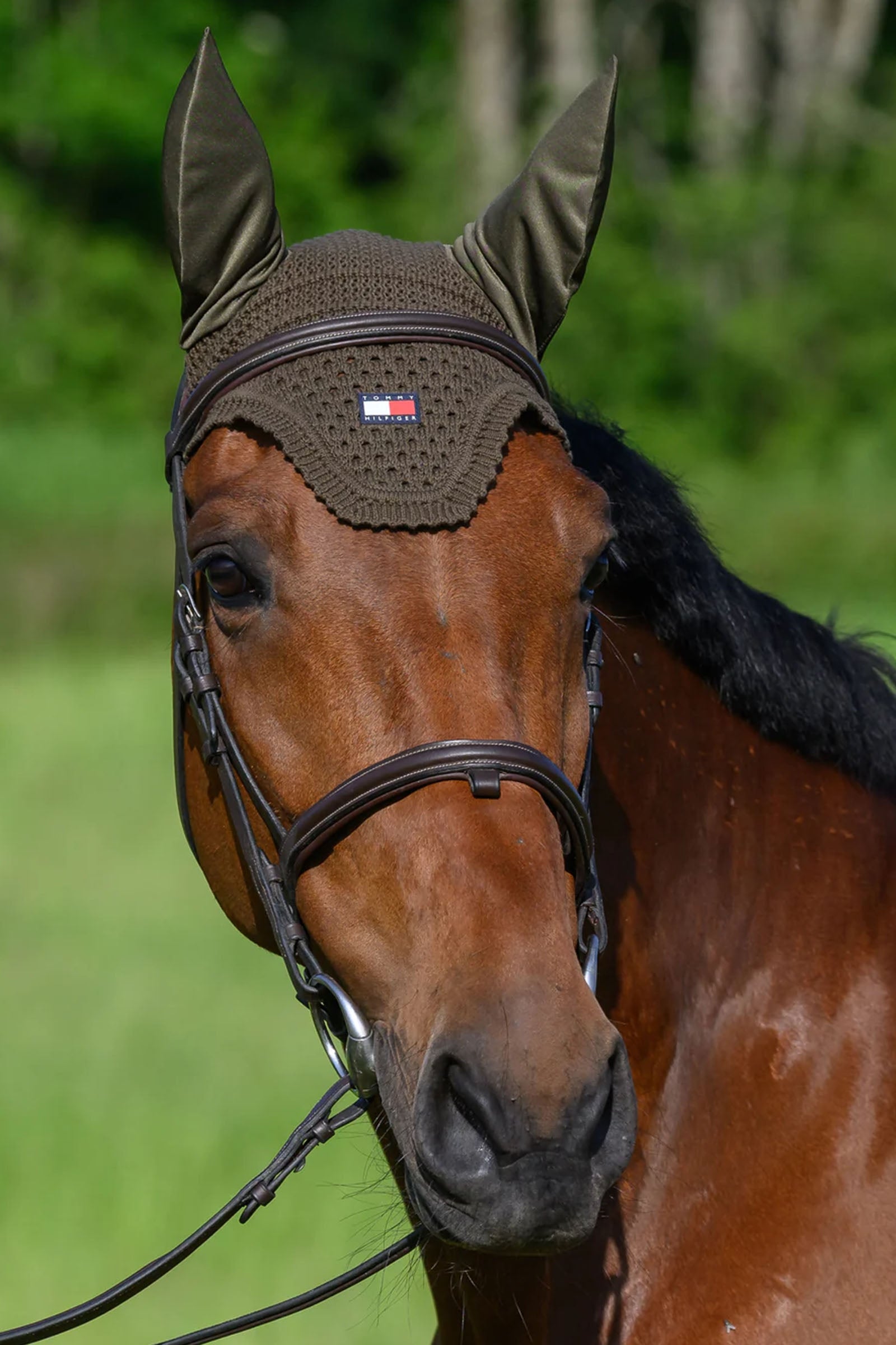 Tommy Hilfiger Equestrian Lexington Fly Hood Saddle Pads