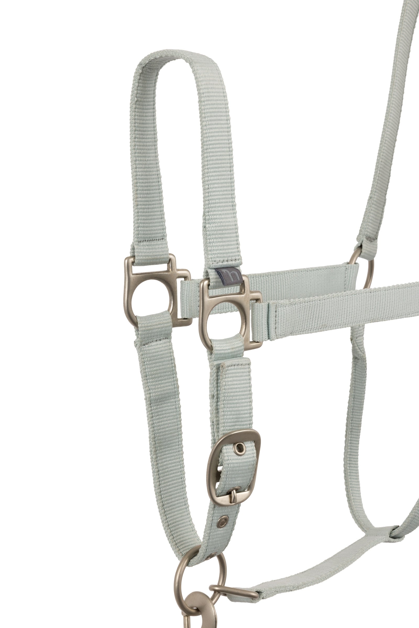 Horze Rose Tonique Halter Halters & Leads
