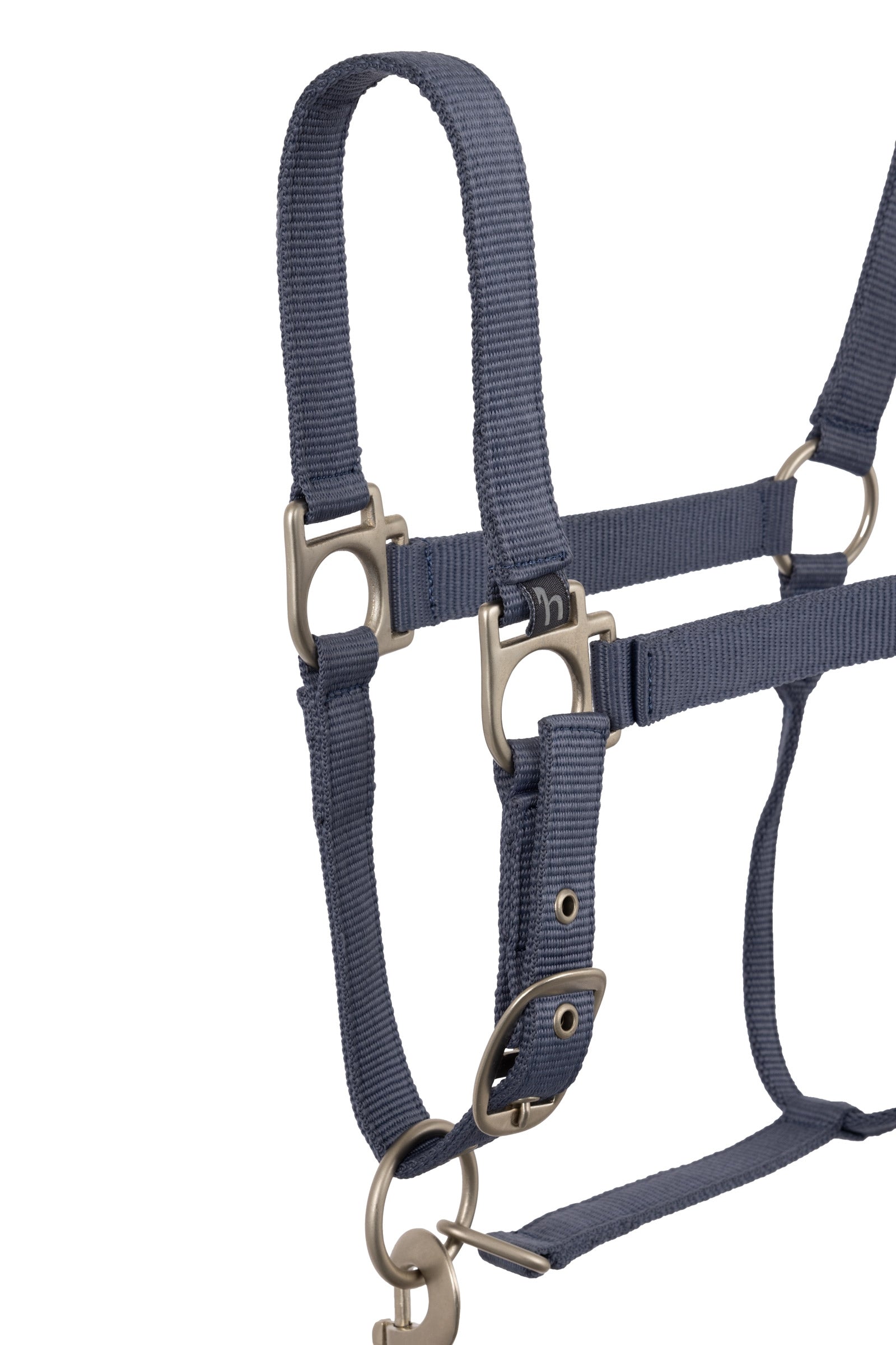 Horze Rose Tonique Halter Halters & Leads