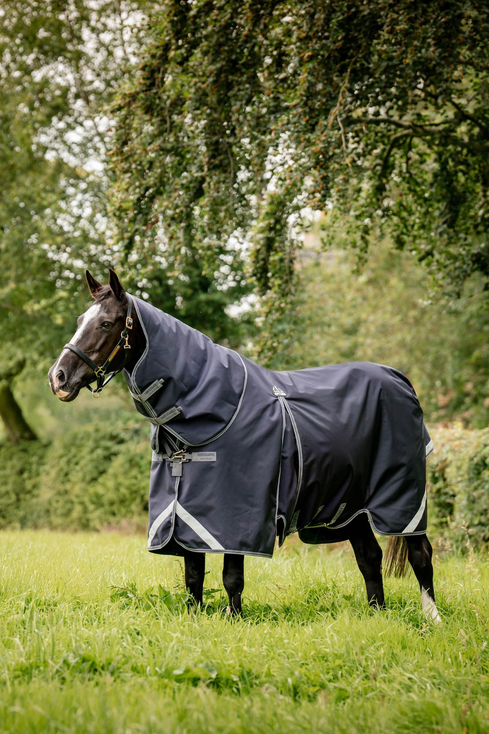 Horseware Rambo Optimo Plus Budle Legelő Takaró (200g Linerrel) Lótakarók