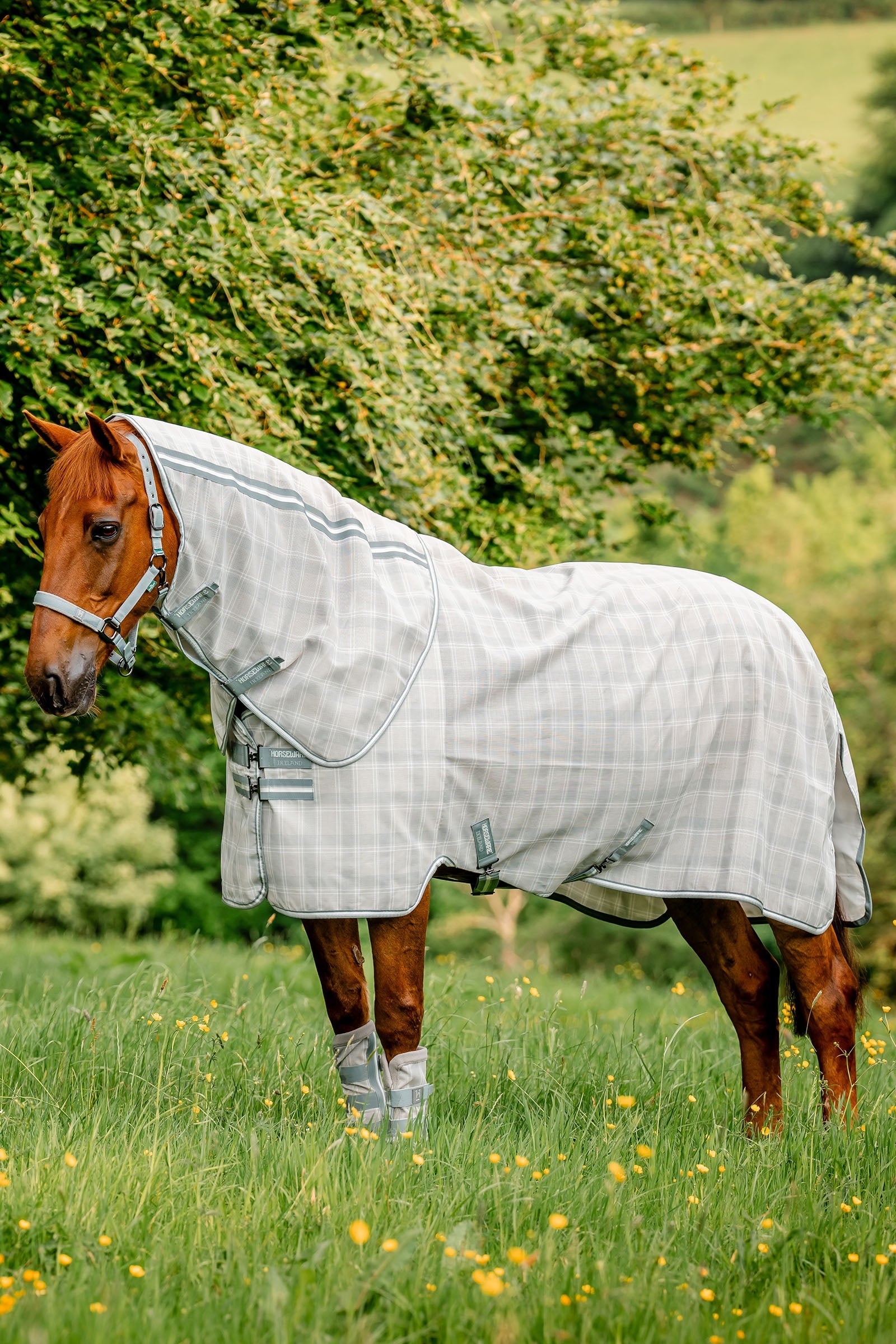 Horseware Newmarket Plus Légytakaró Lótakarók
