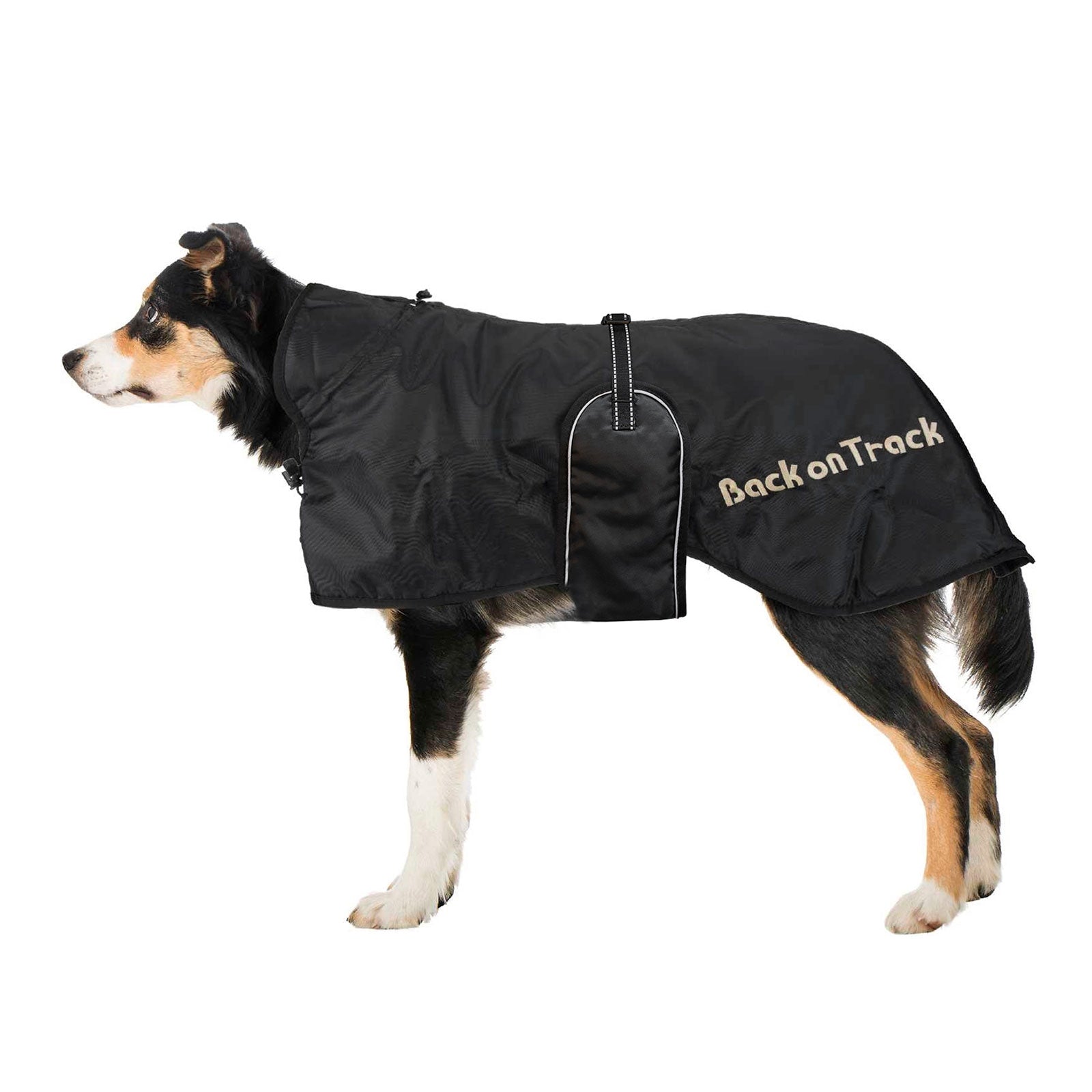 undefined Back on Track Dog Rug (63-91) Dog Accesories