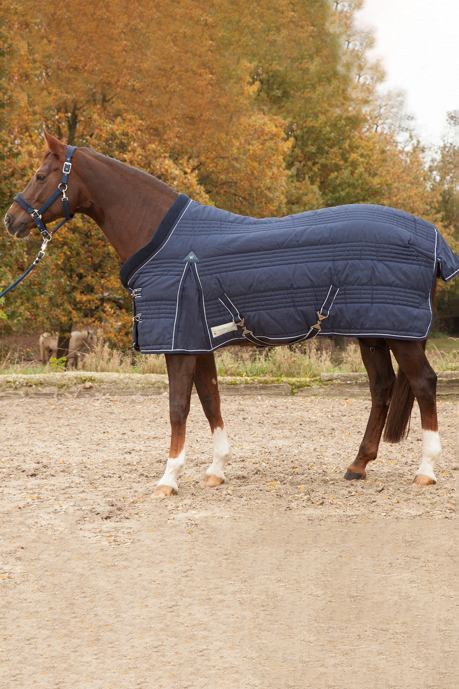 Waldhausen Stable Rug Comfort Line 200g Lótakarók