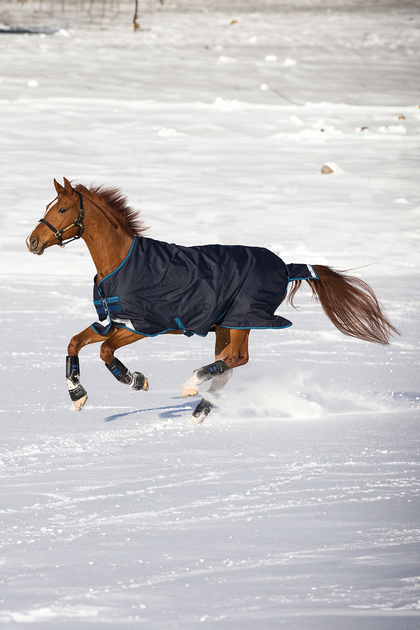 Horseware Amigo Bravo 12 Turnout Rug, 100g Horse Rugs