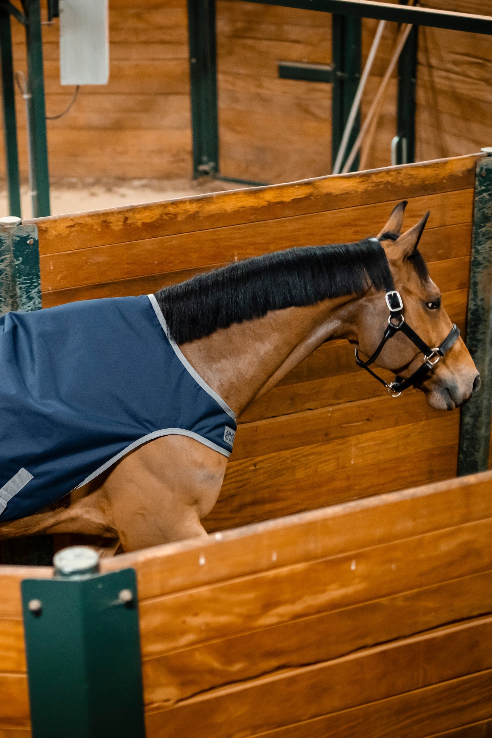 Horseware Amigo Ripstop 900D Walker Rug, 100 g Horse Rugs