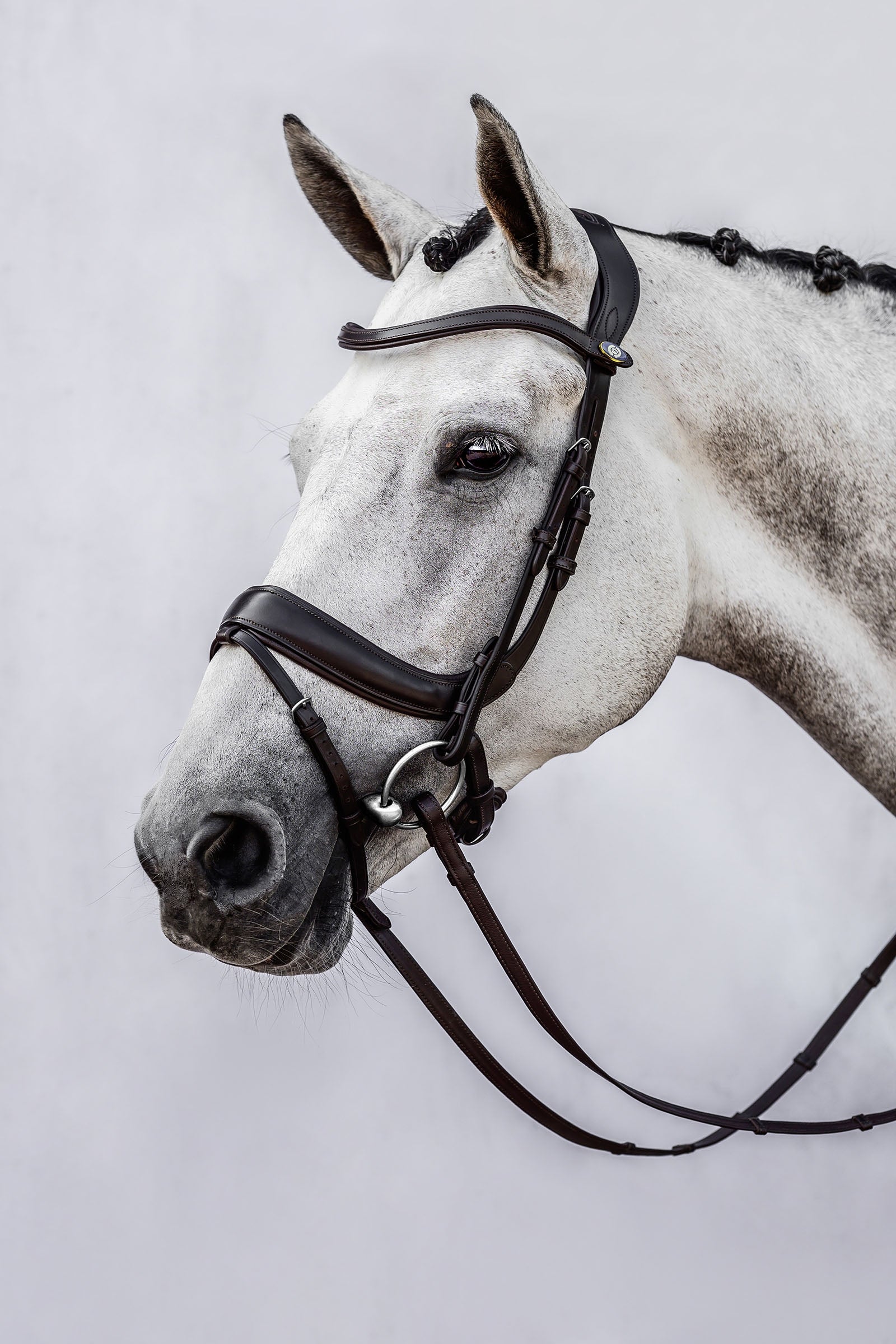 PS of Sweden bridle Paladin Kantárok & Szárak