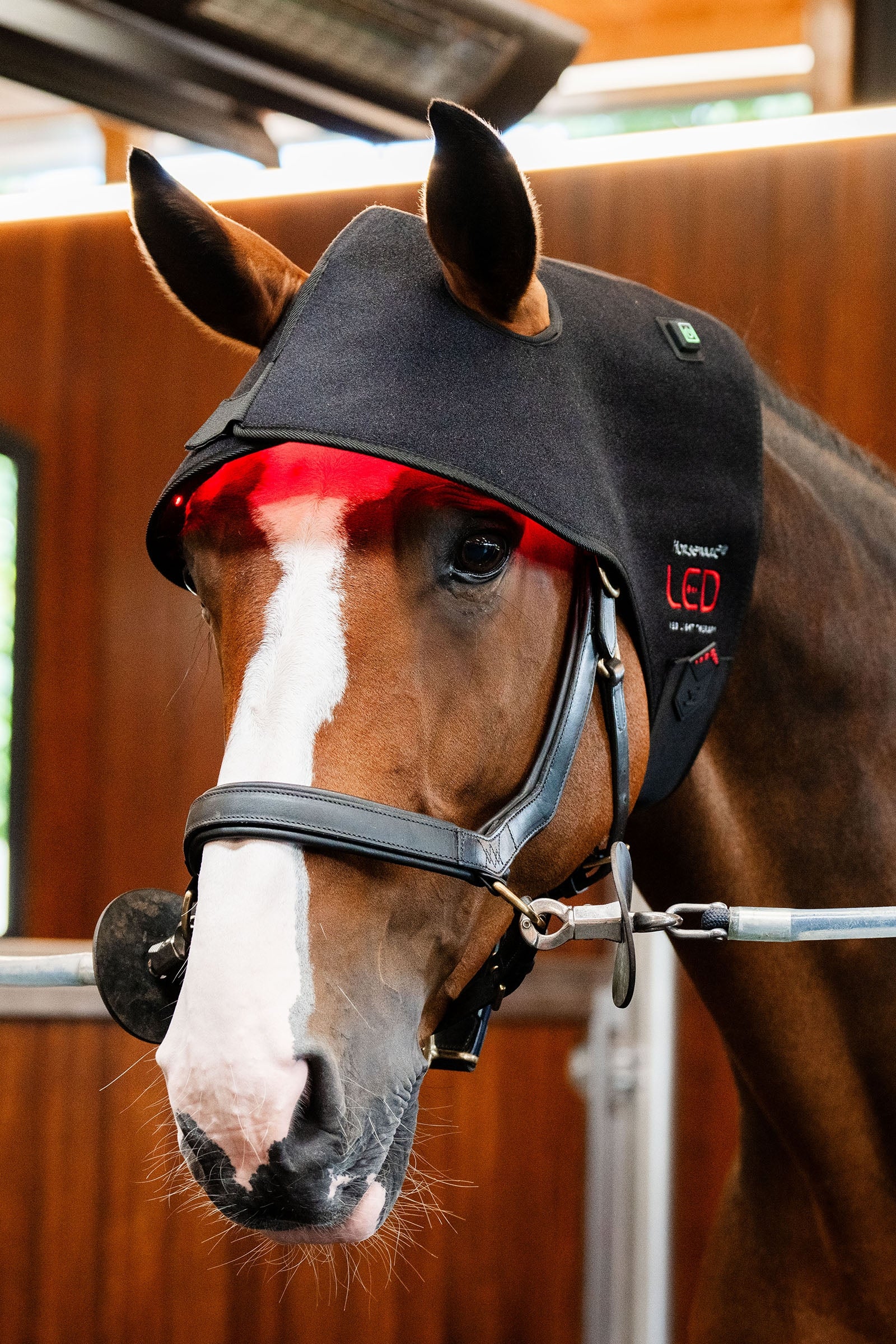 Horseware LED vörösfény-terápiás tarkómappa Lótakarók