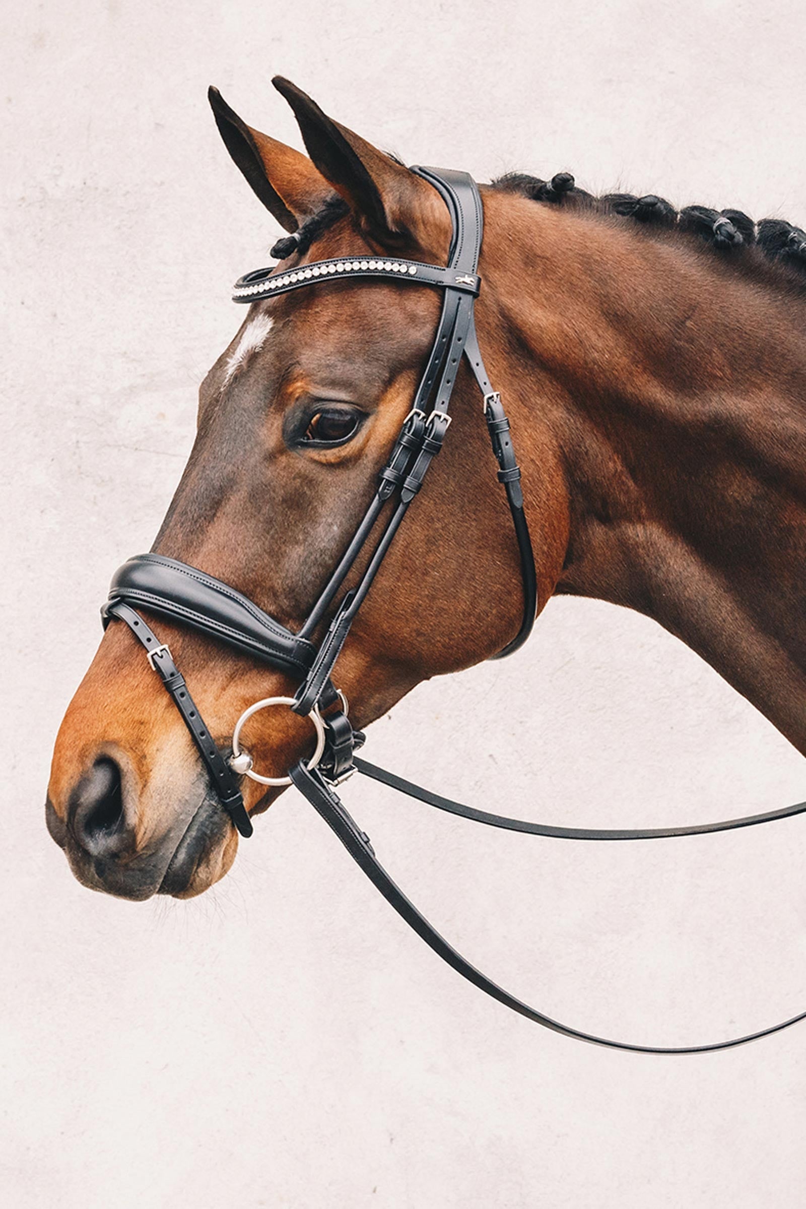 Schockemöhle Sports Malibu Anatomical Dressage Bridle Bridles & Reins