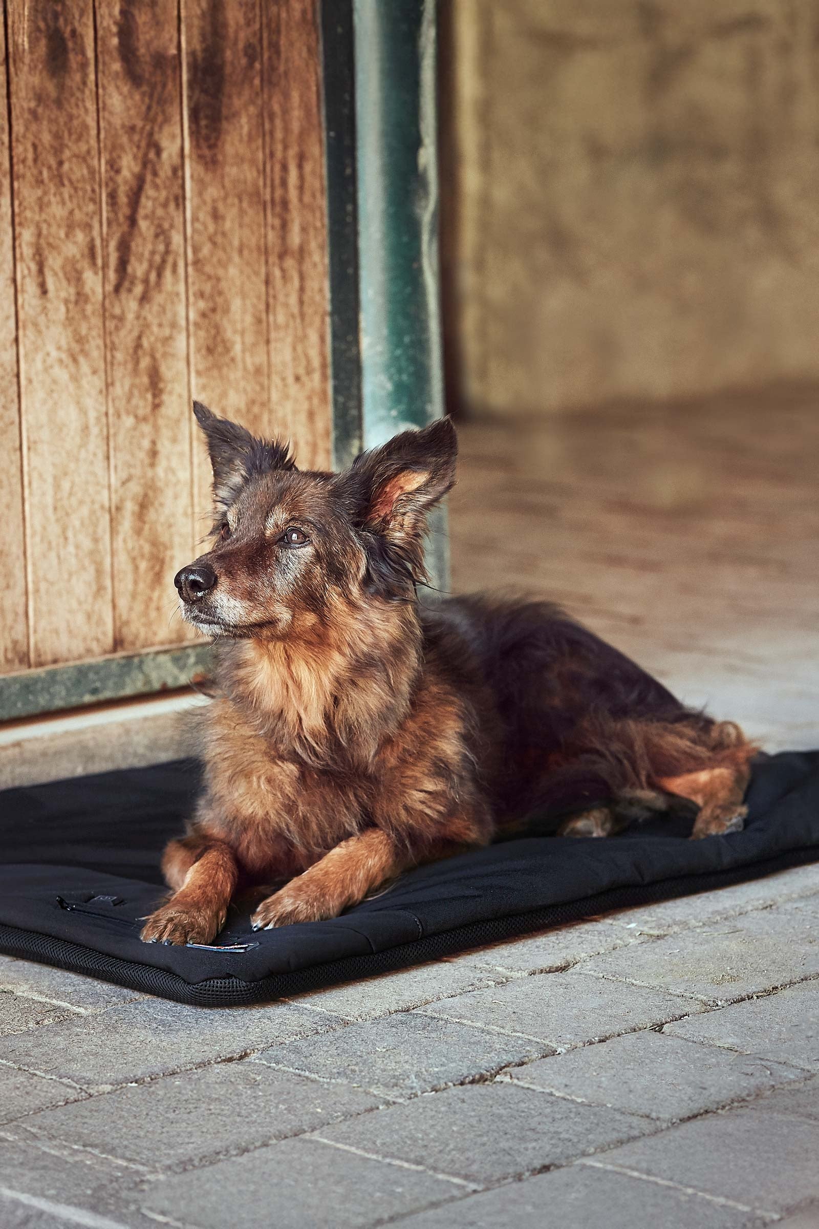 Catago CATAGO FIR-Tech Pro kutyapárna Kutya