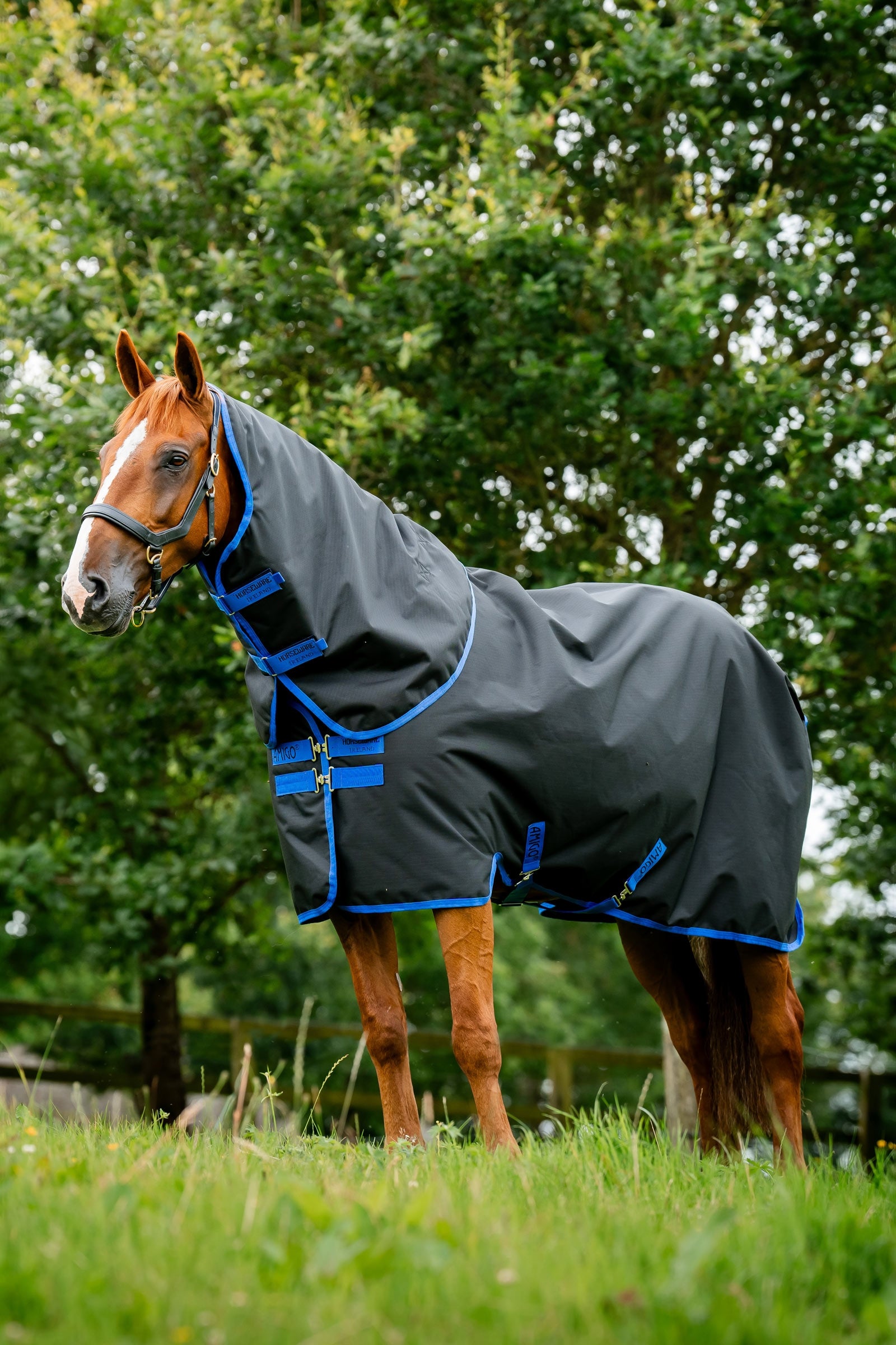 Horseware Amigo Ripstop 900D Plus kültéri takaró, 0 g Lótakarók
