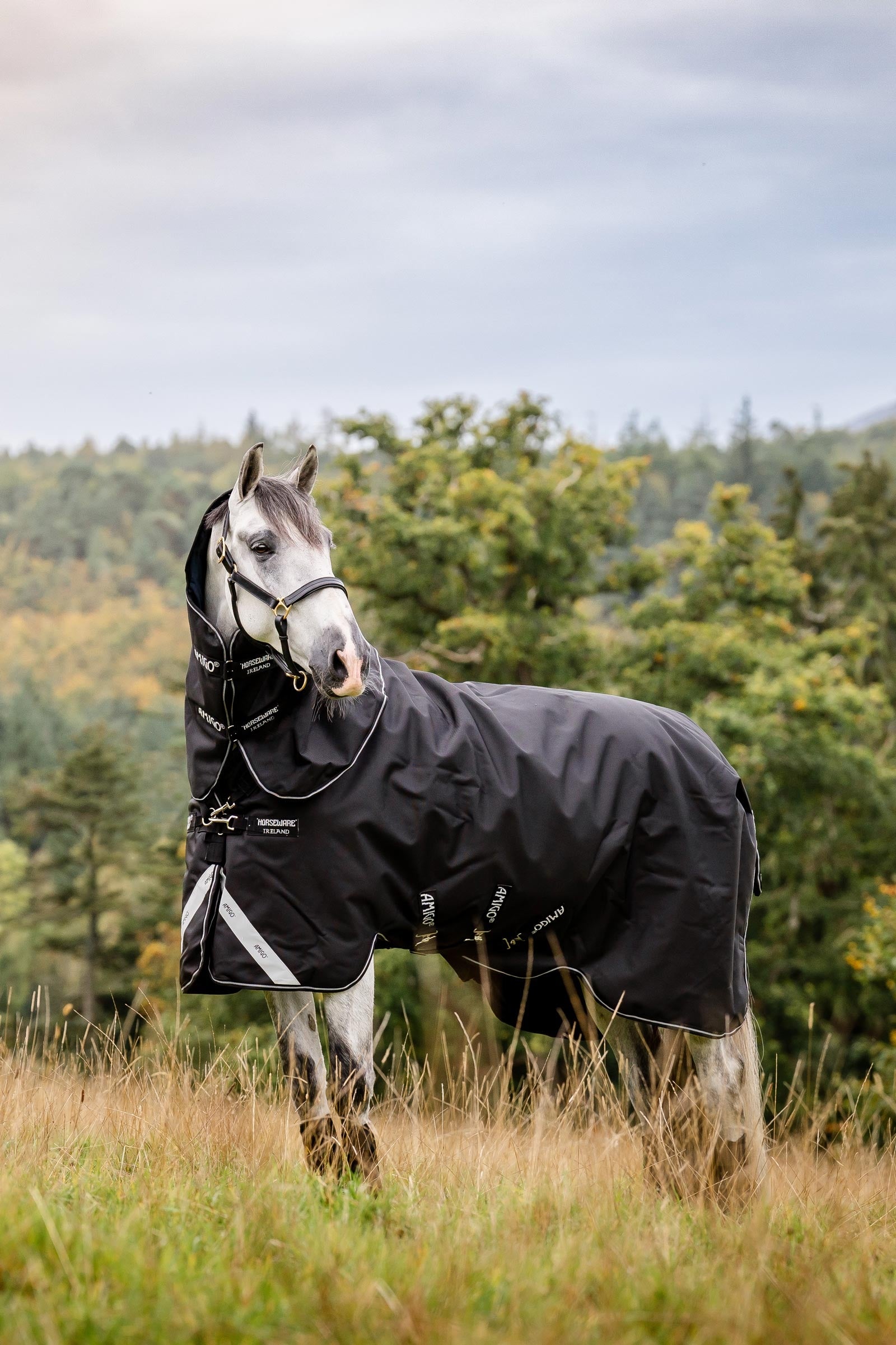 Horseware Amigo Super Bravo Plus kültéri takaró levehető nyakrésszel, 250 g Lótakarók