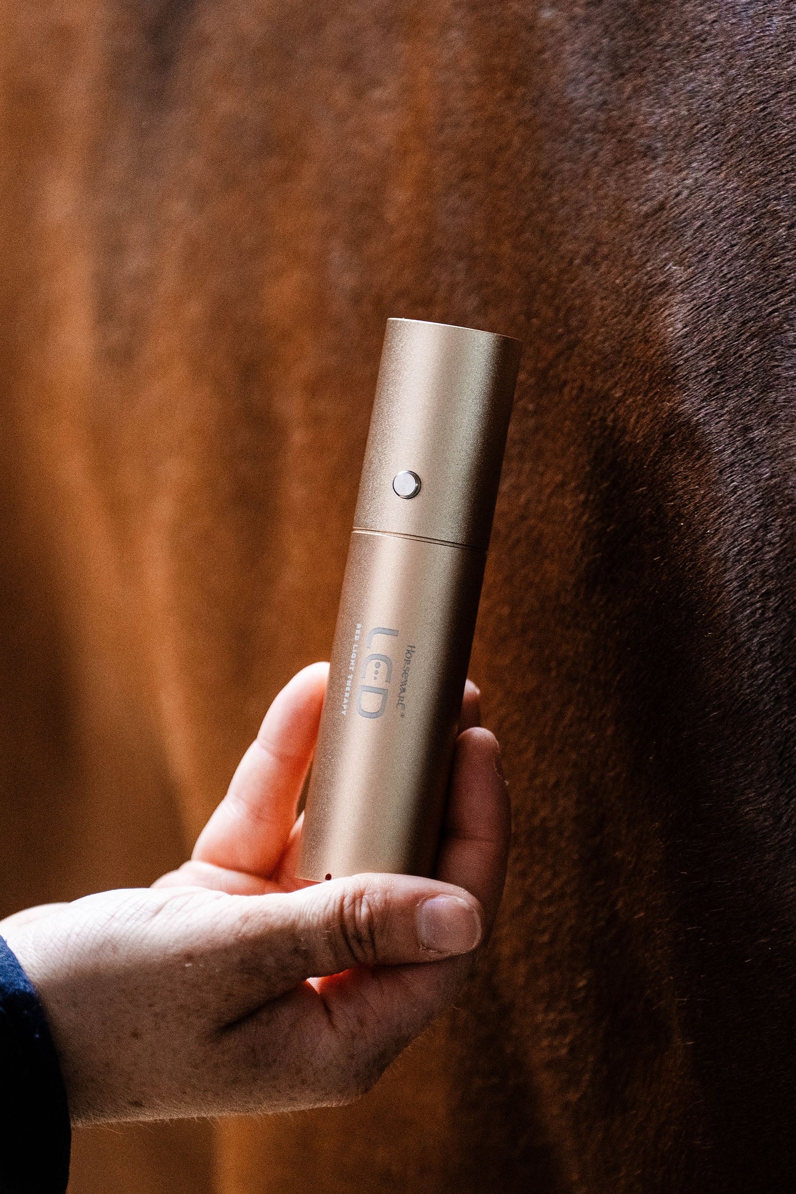 Horseware LED vörösfény-terápiás Pálca Lótakarók
