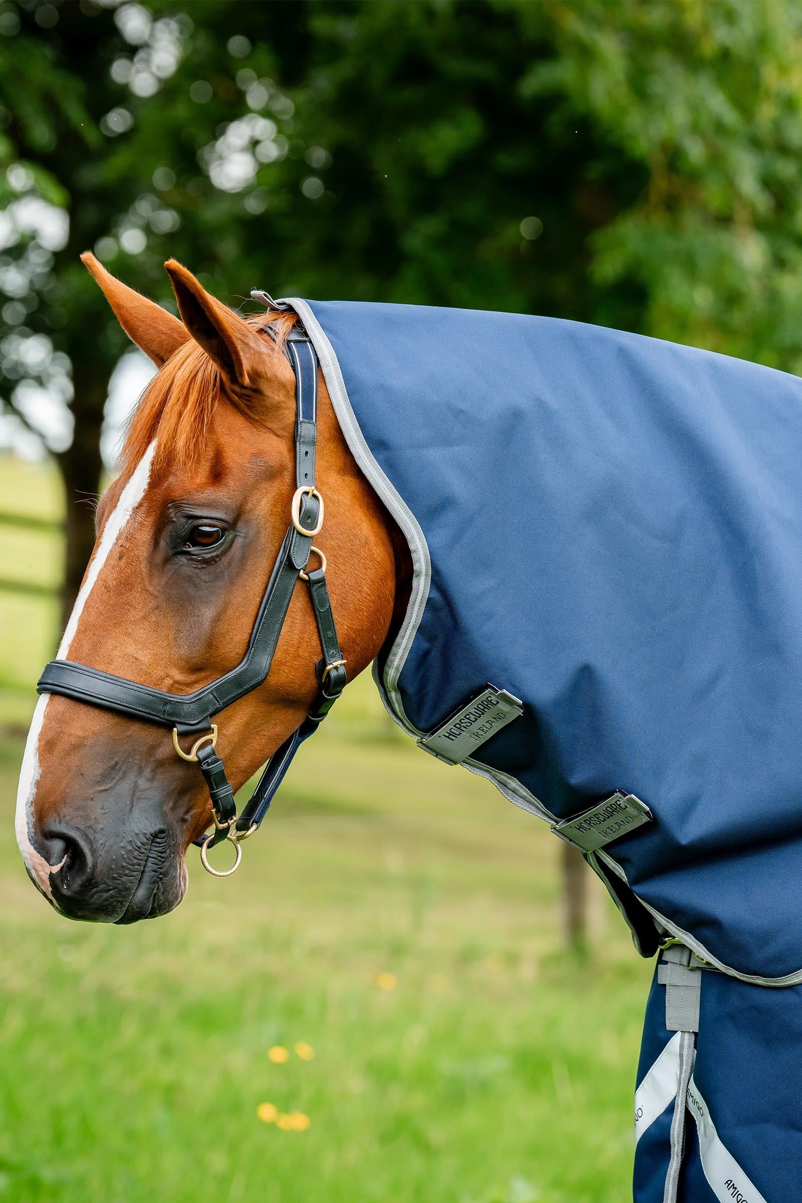 Horseware Amigo 1200D Motorháztető 150g Lótakarók