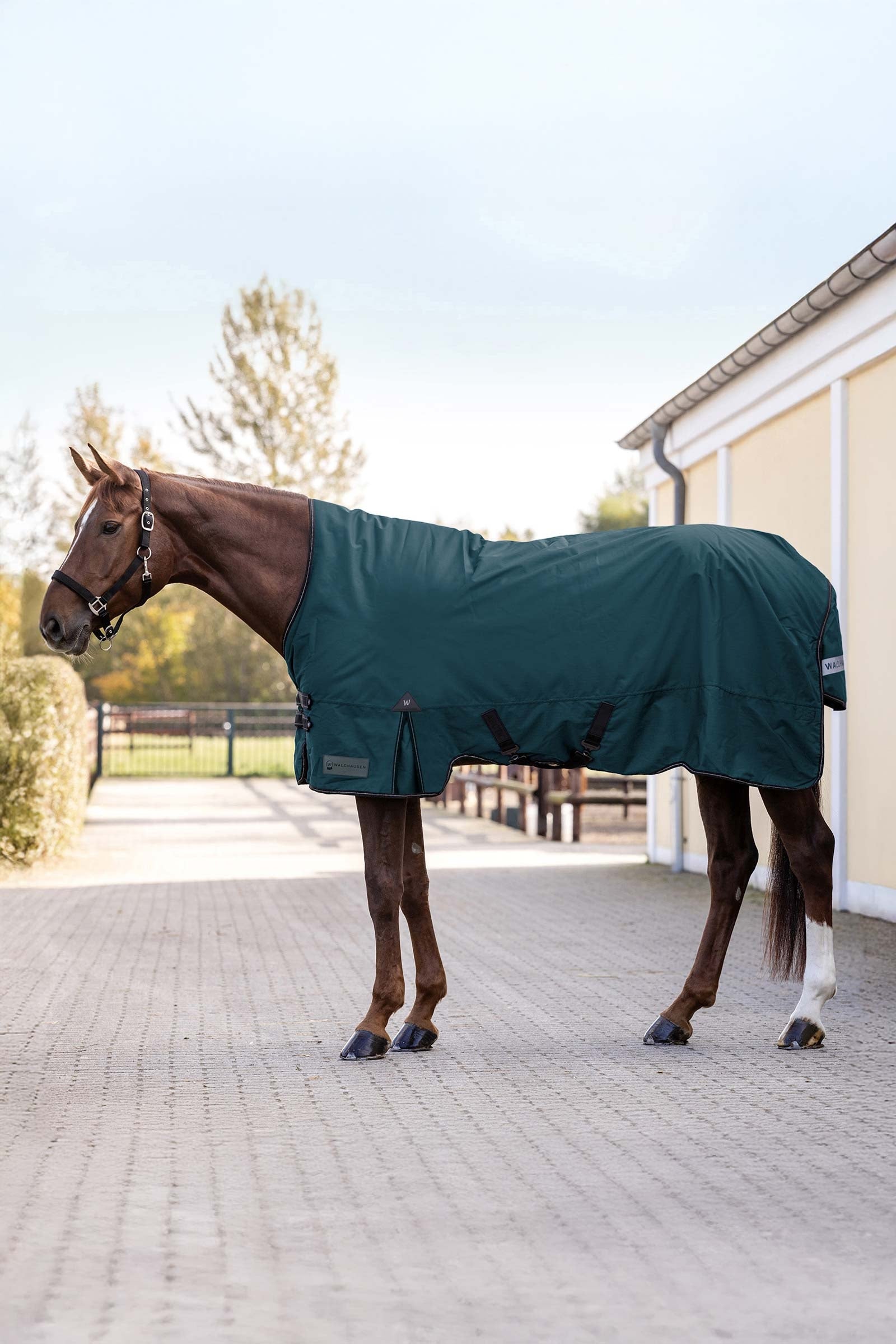 Waldhausen Arctic Outdoor Rug With High Neck, 100 g Lótakarók