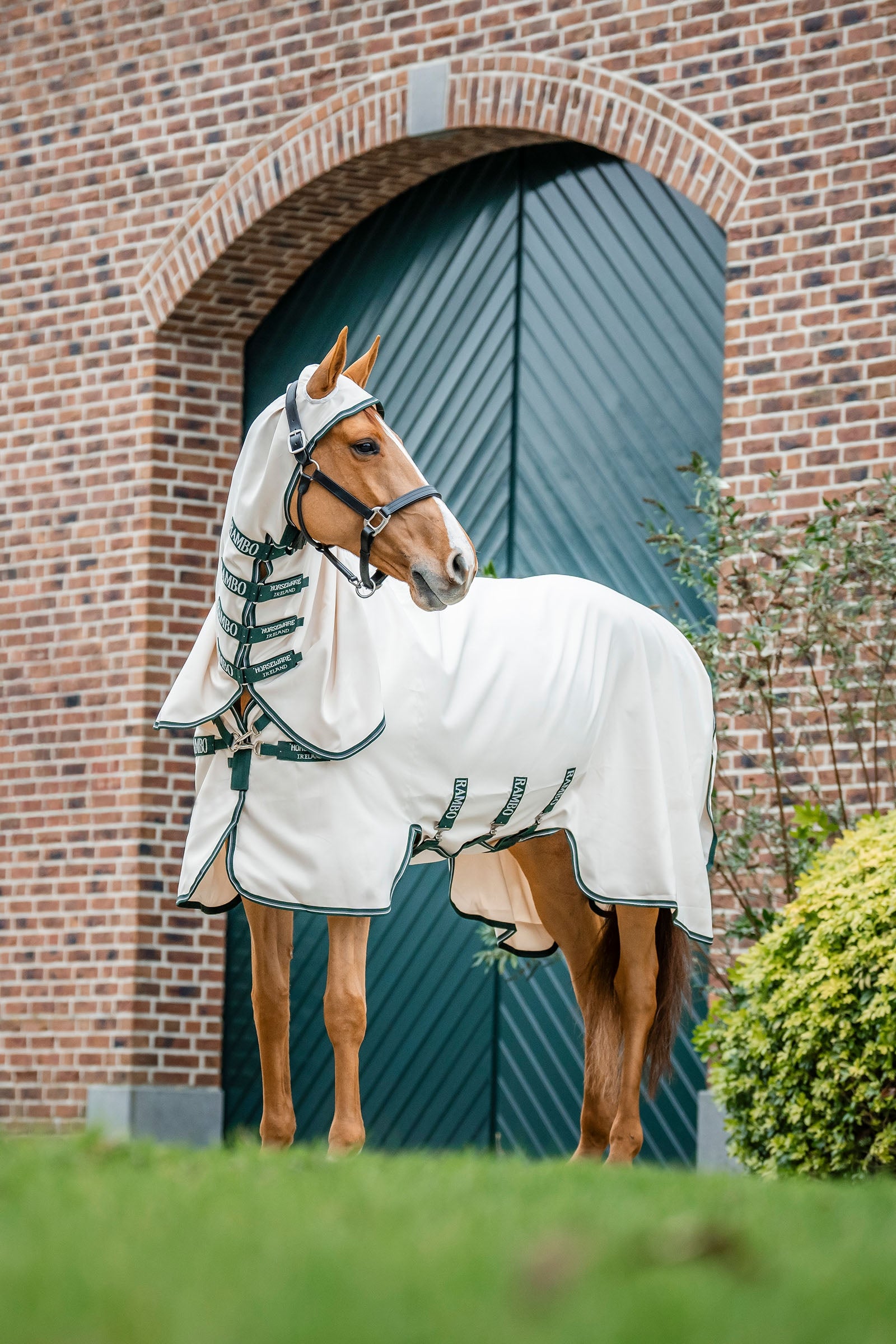 Horseware Rambo Takaró Lótakarók