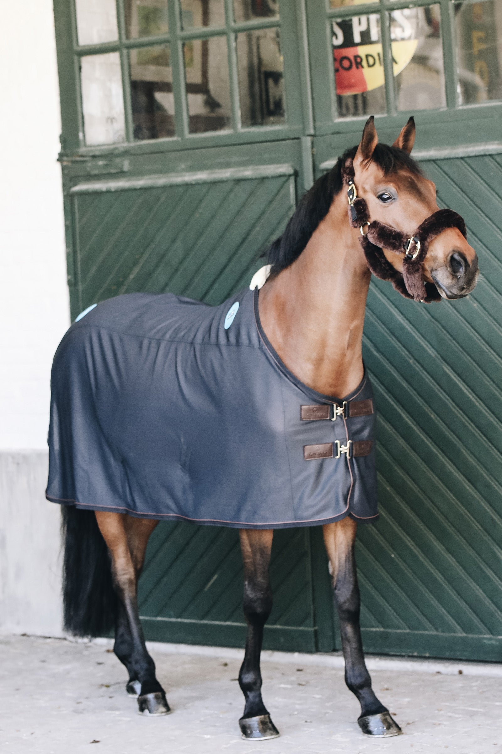 Kentucky Horsewear mágneses Recuptex mágneses szőnyeg Lótakarók