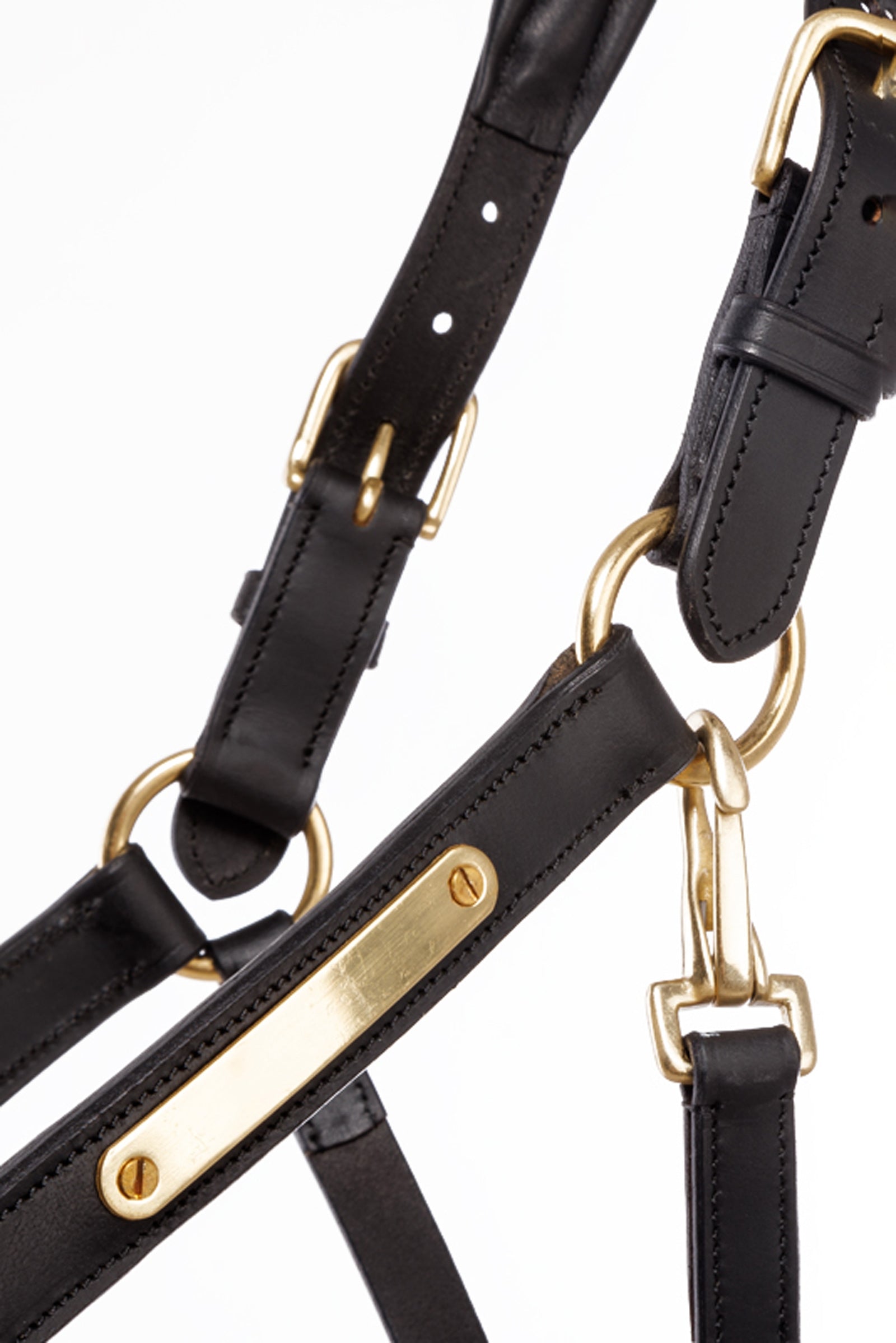 Kavalkade Leather halter Cinta Halters & Leads
