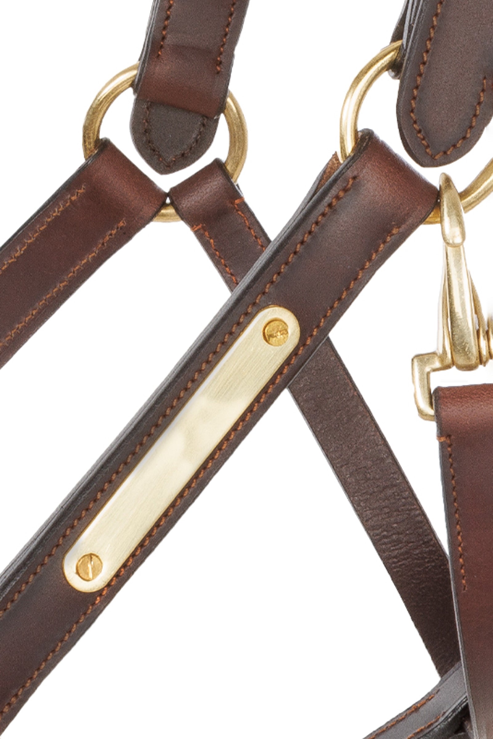 Kavalkade Leather halter Cinta Halters & Leads
