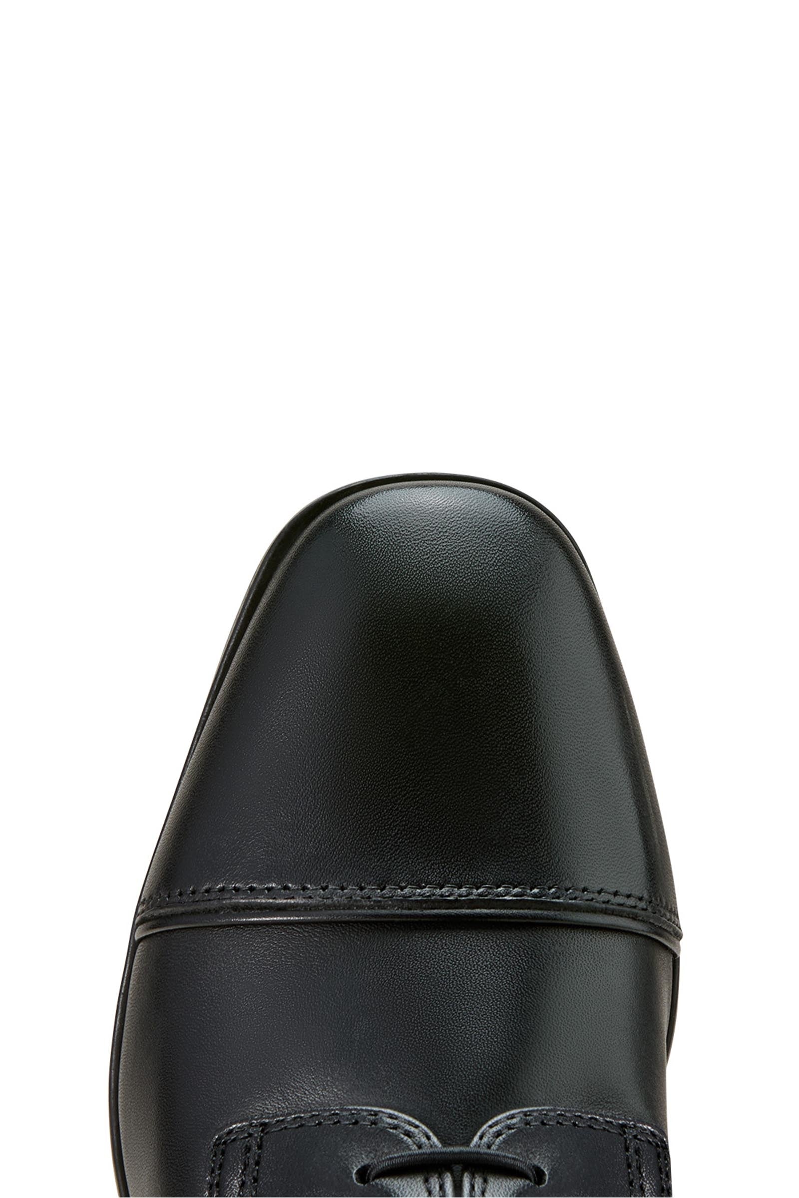 Ariat Palisade Lace Women's Tall Riding Boot Riding Boots & Riding Shoes