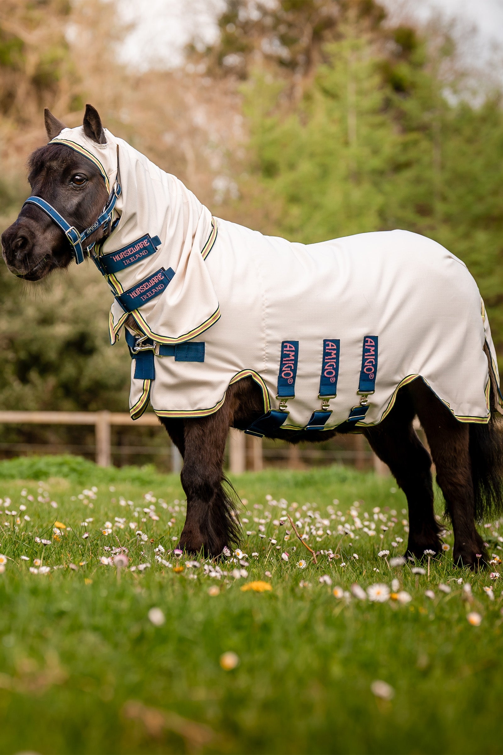 Horseware Amigo Ripstop Hoody, Petite Lótakarók