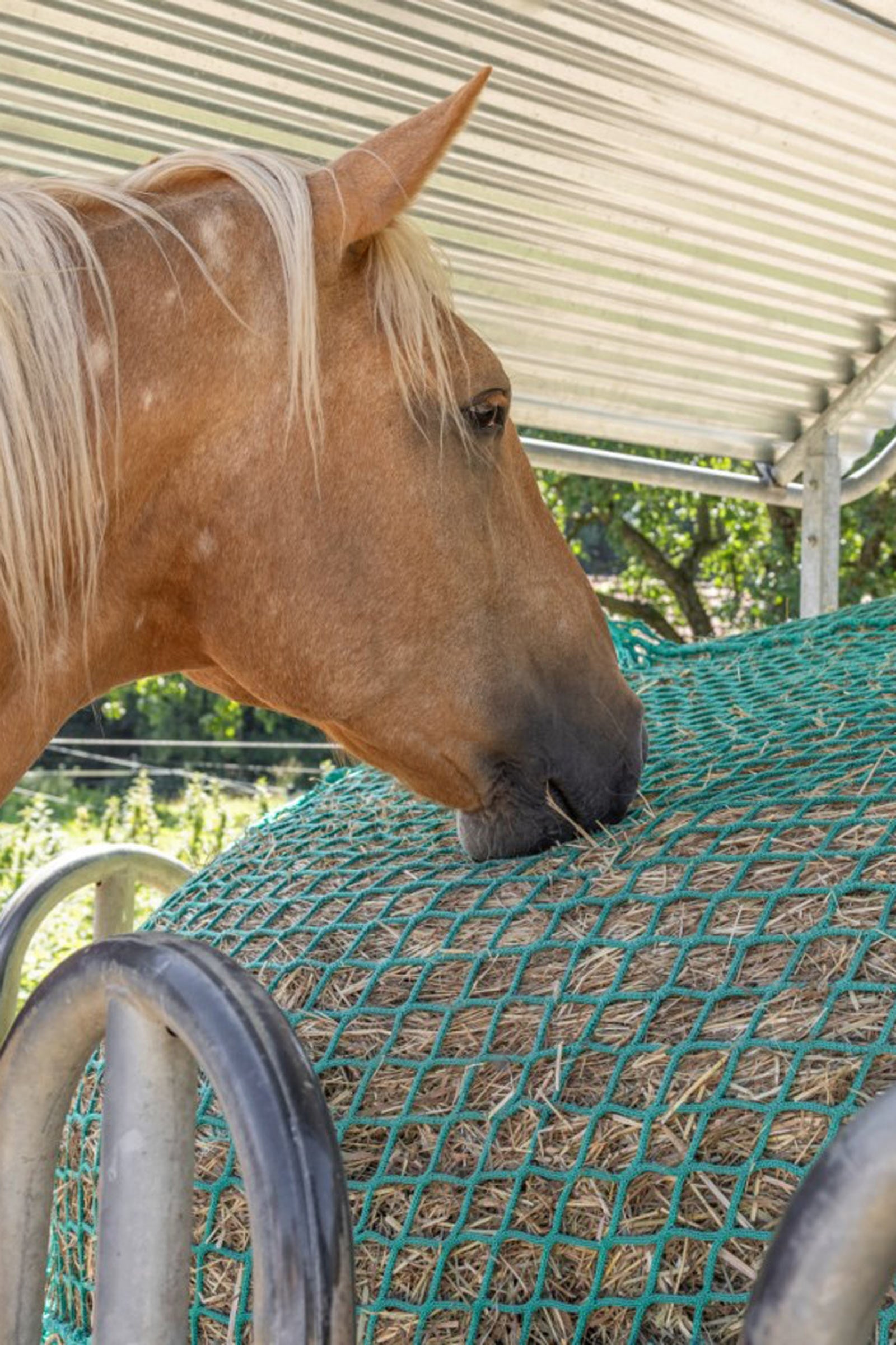Kerbl Hay Net for Round Bales, hangable Horse Feeders & Waterers