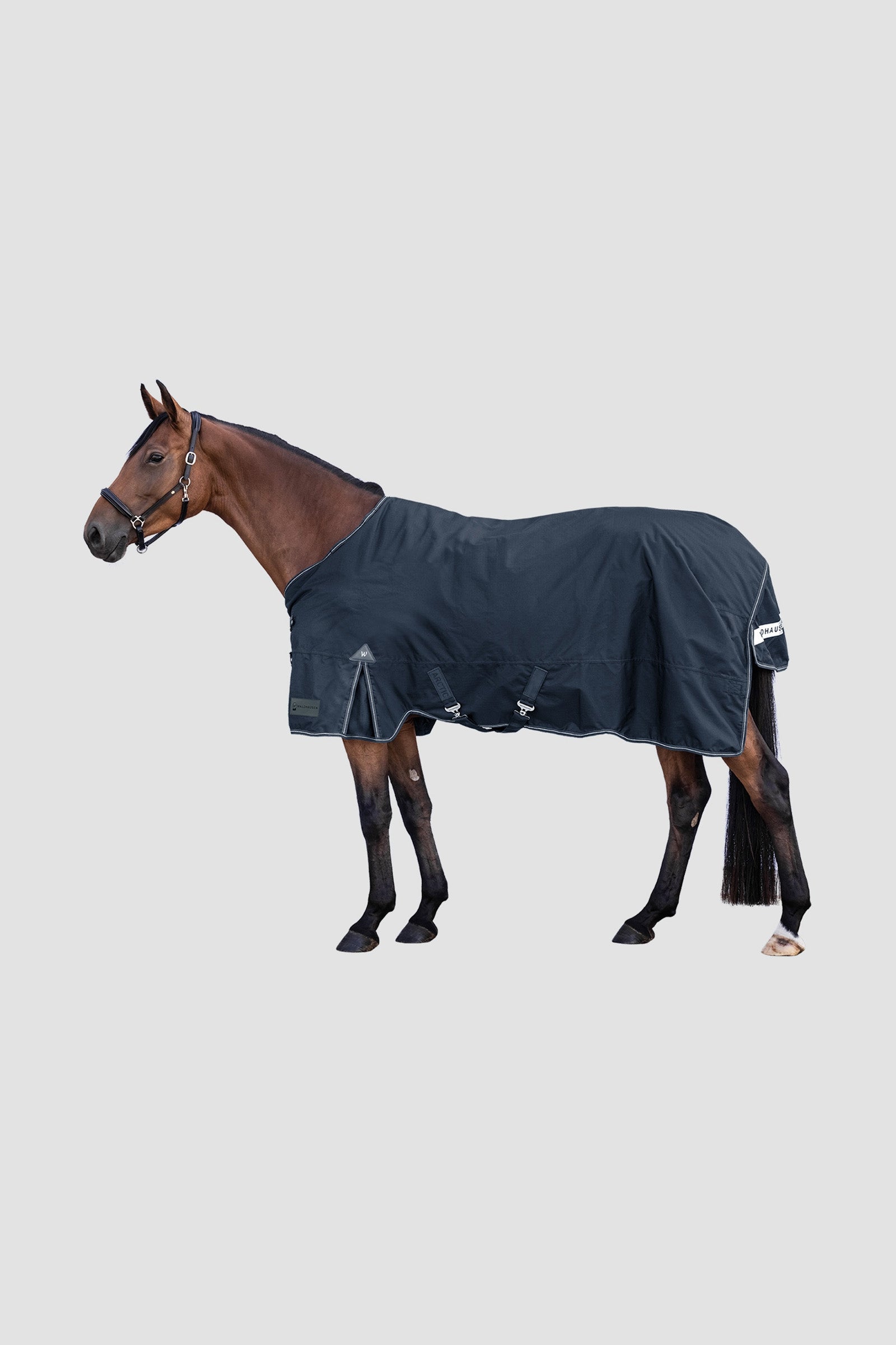 Waldhausen Outdoor Rug Arctic Light Horse Rugs