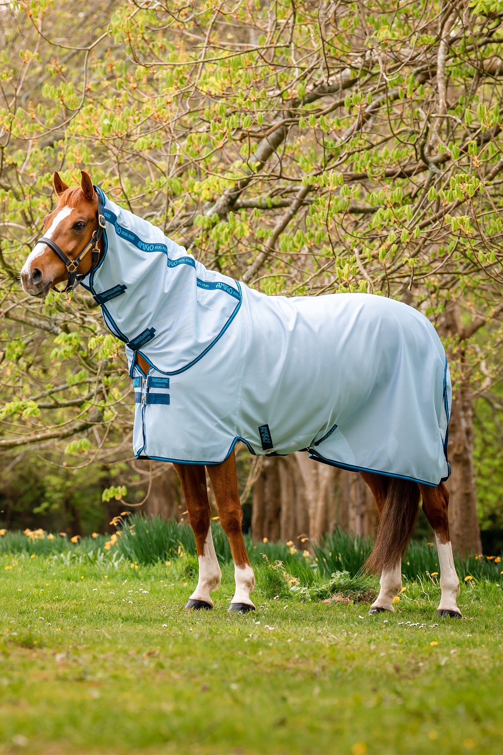 Horseware Amigo Légytakaró Lótakarók