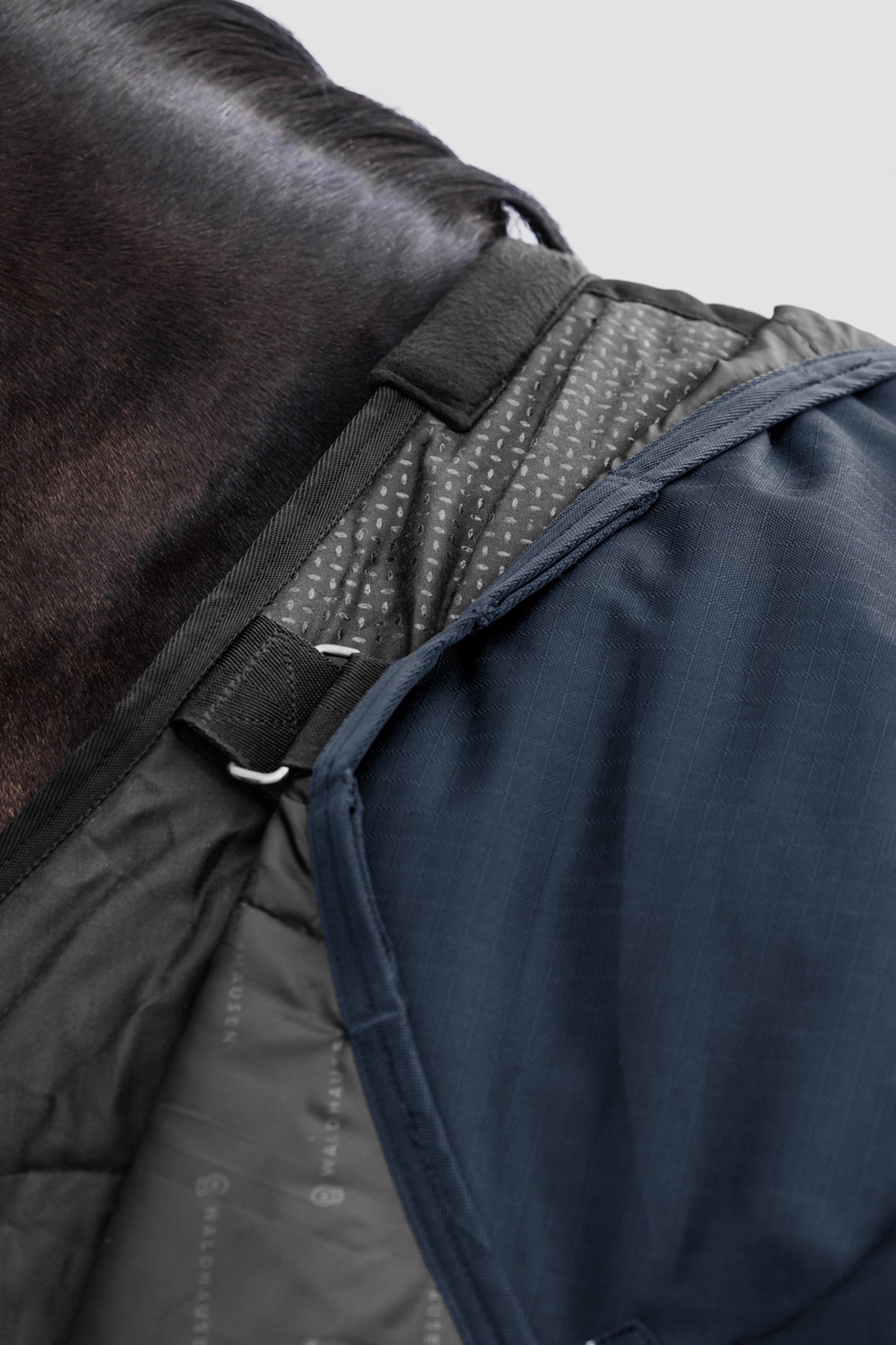 Waldhausen Outdoor Rug Scandic Multi-Layer 150g/50g Horse Rugs