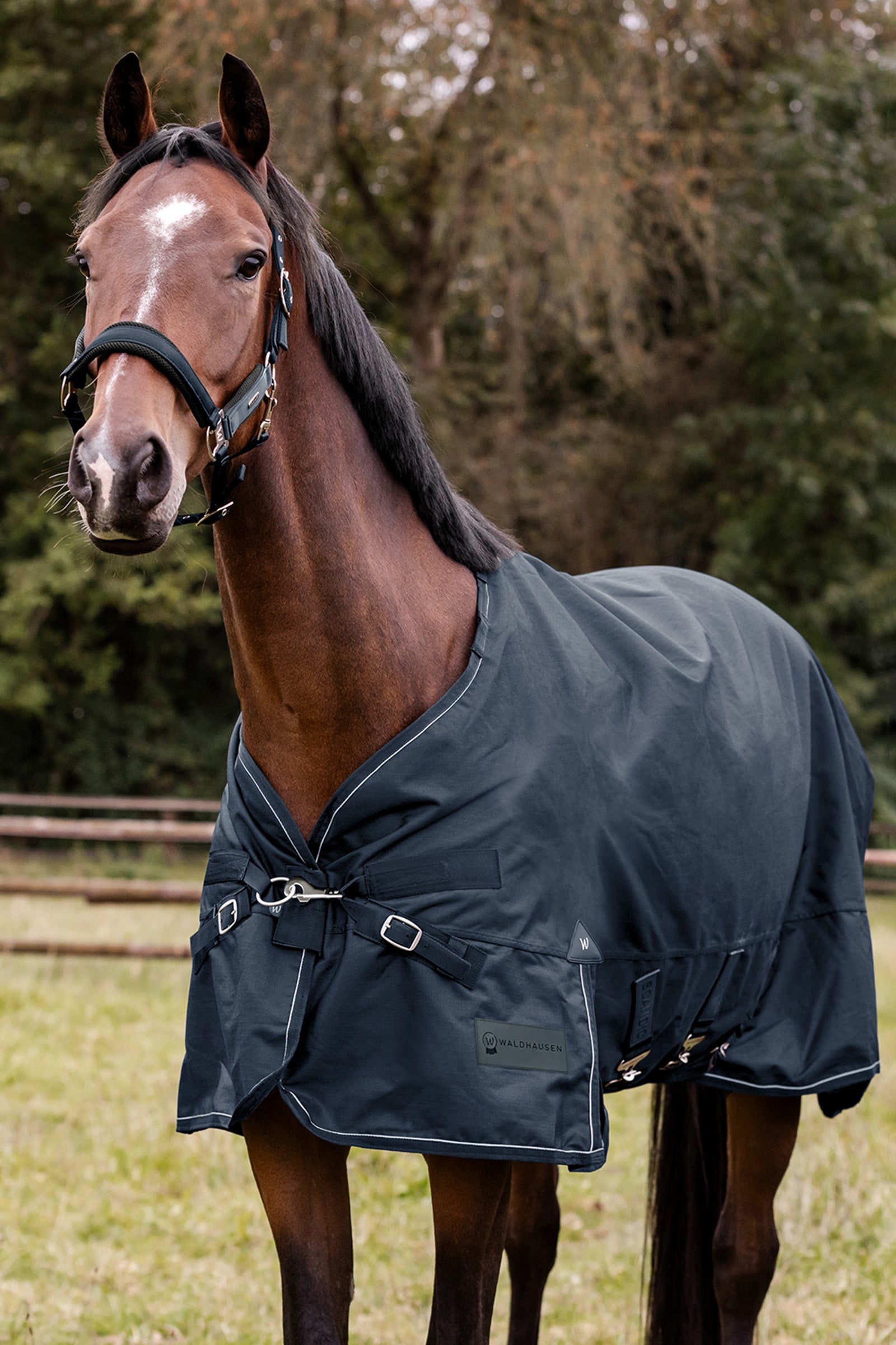 Waldhausen Outdoor Rug Scandic Multi-Layer 150g/50g Horse Rugs