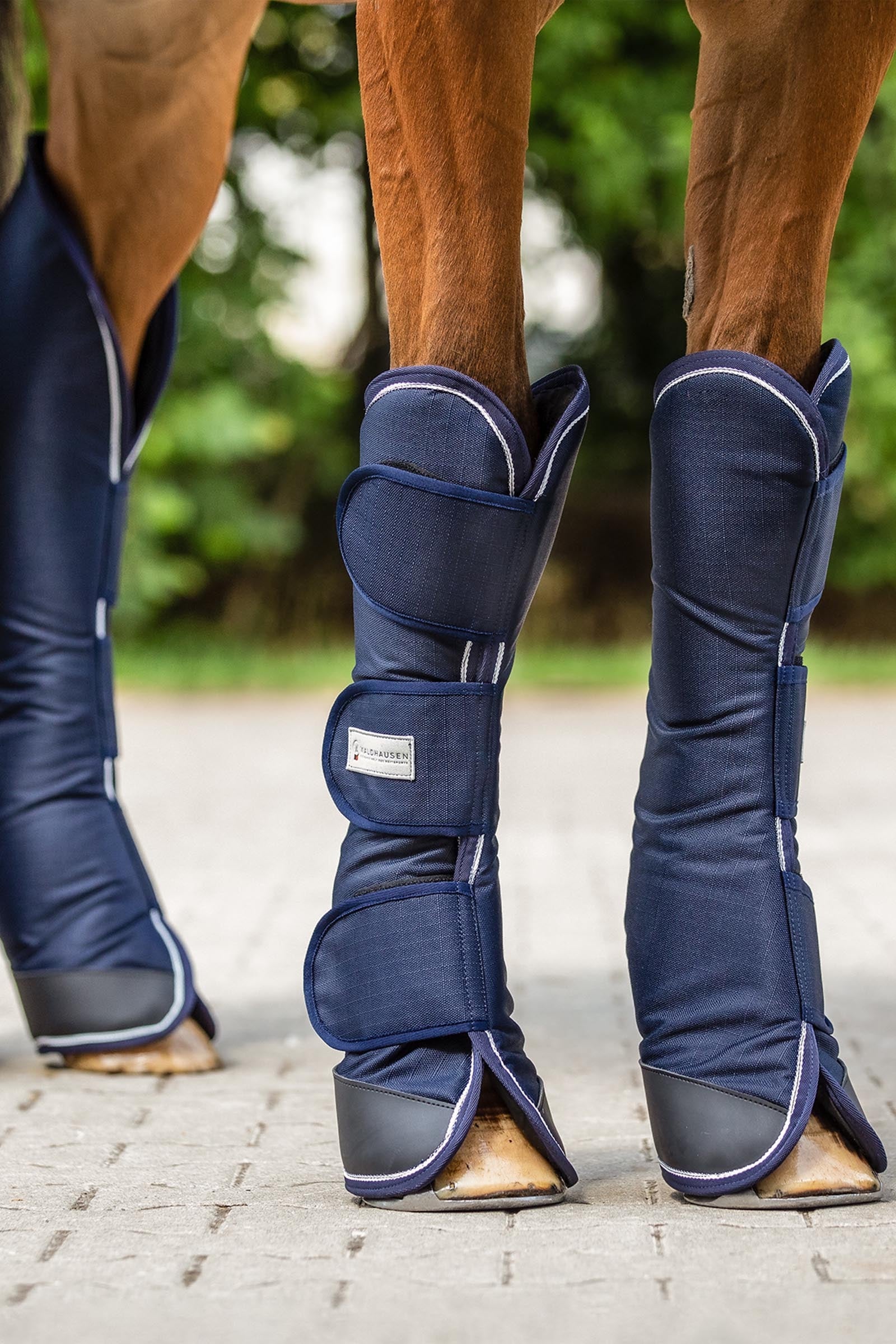 Waldhausen Comfort Line Travelling Boots (Set of 4) Leg Protection & Hoof Protection for Horses