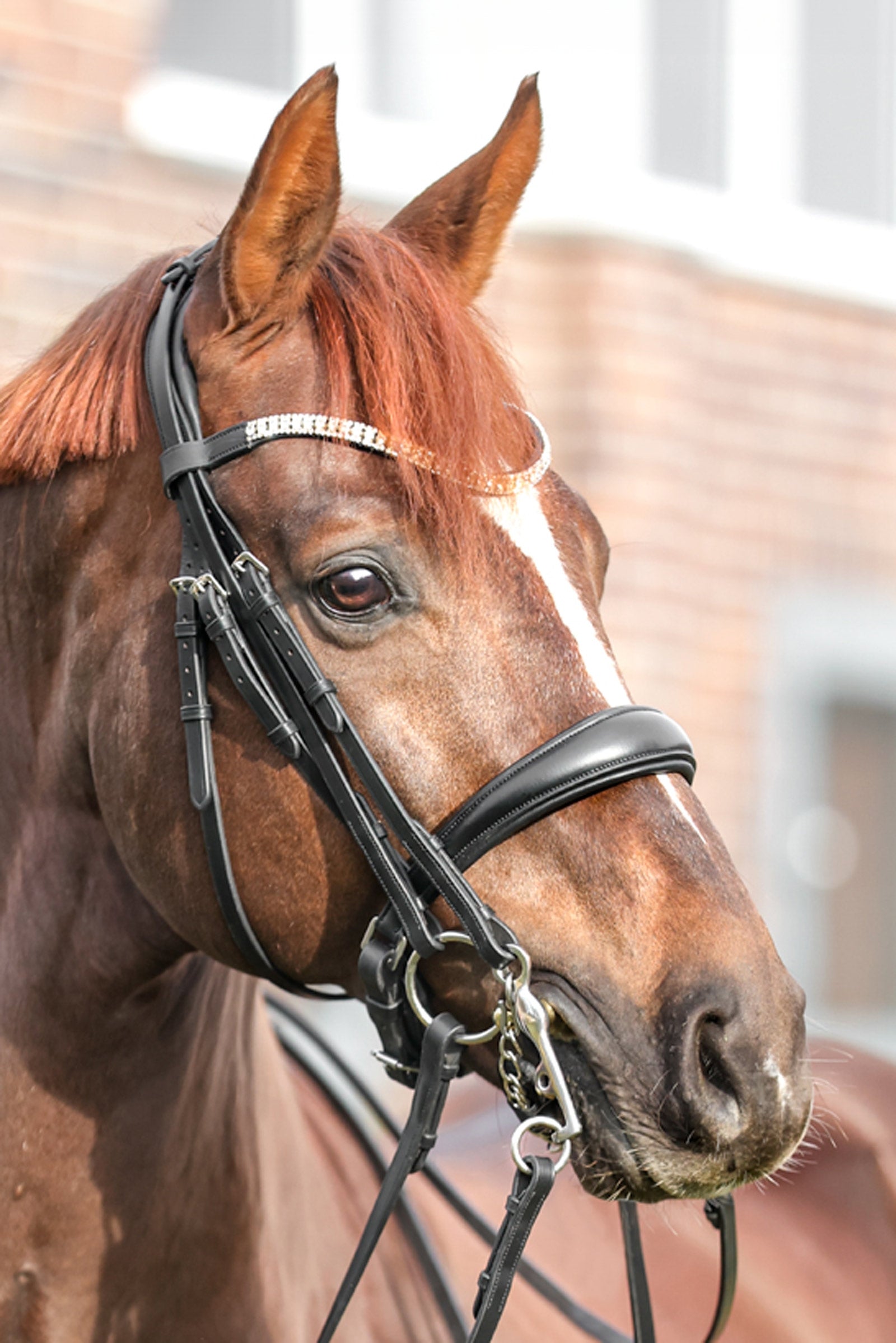 Kavalkade Sonya Weymouth Bridle Bridles & Reins