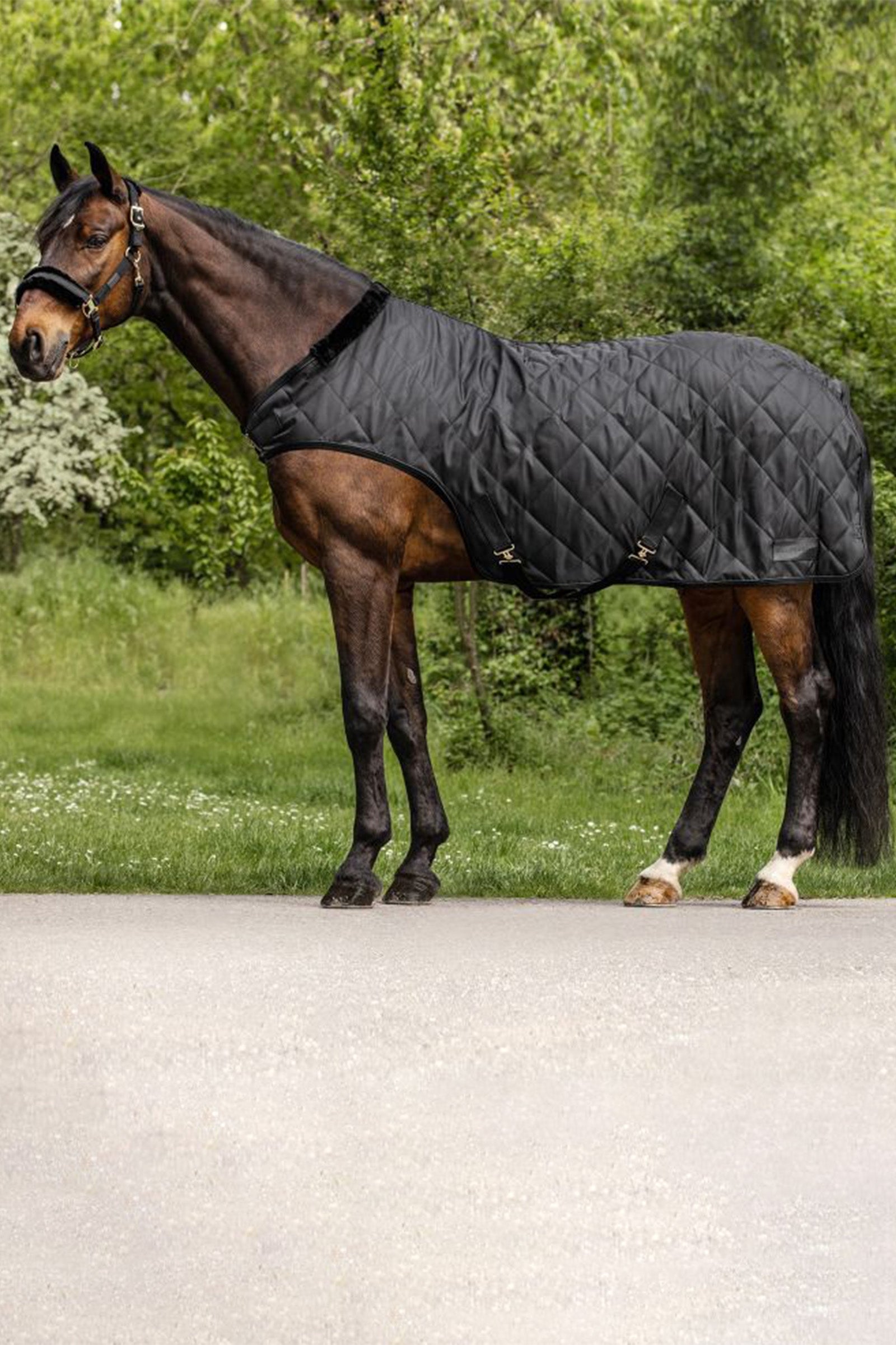 Waldhausen Exclusive vezetőszálas takaró, 50g Lótakarók