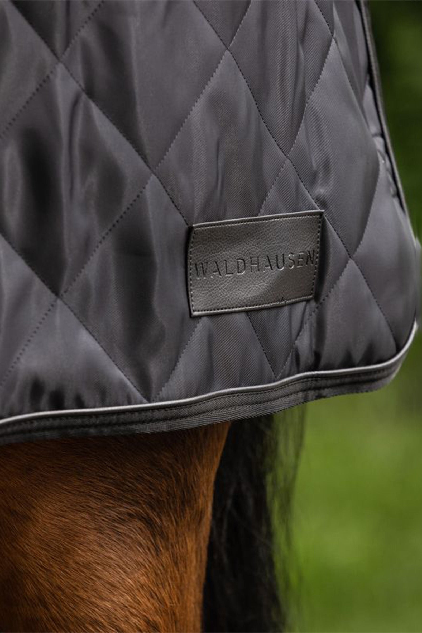 Waldhausen Exclusive Horsewalker Sheet, 50g Horse Rugs