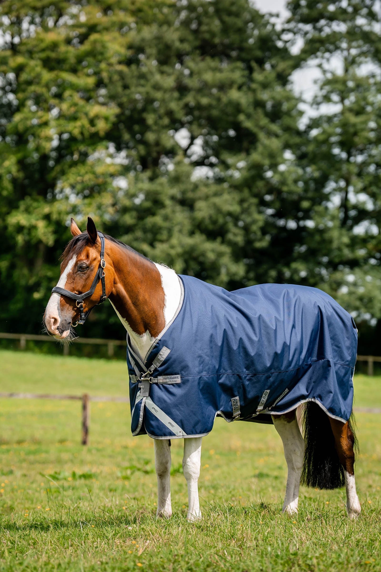 Horseware Amigo 1200D kültéri takaró, 50 g Lótakarók