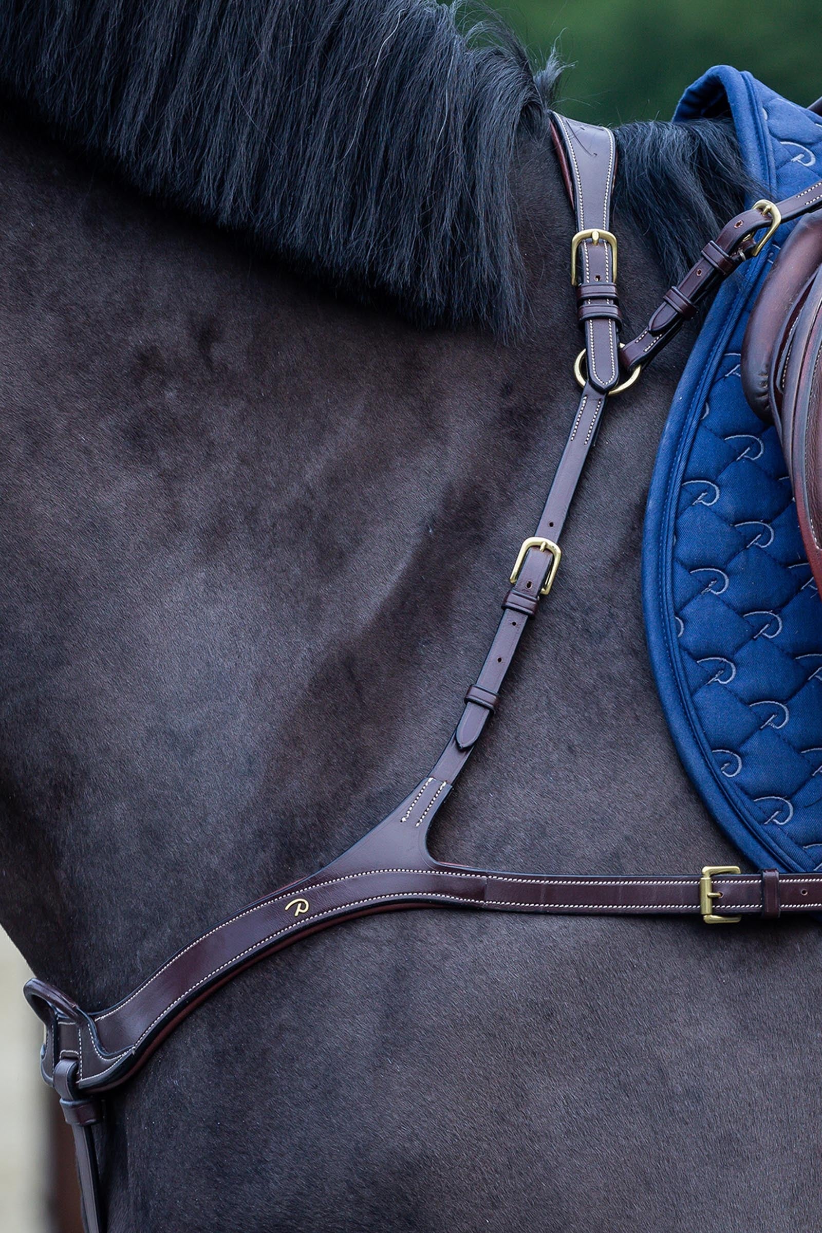 Dy'on D Collection anatómiai martingál Kantárok & Szárak