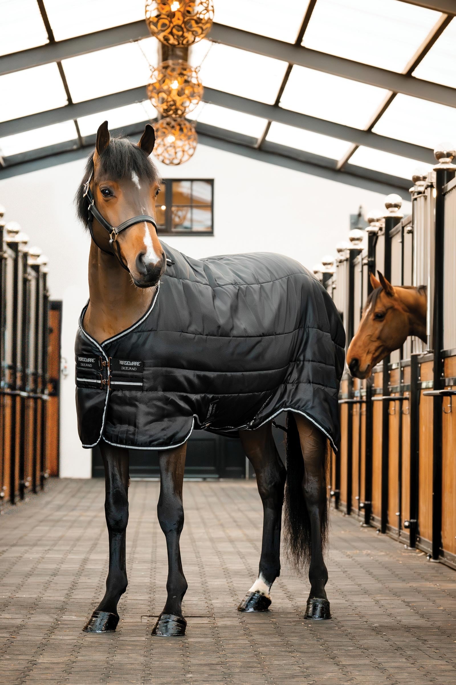 Horseware Easy-Layer istállótakaró 100g Lótakarók