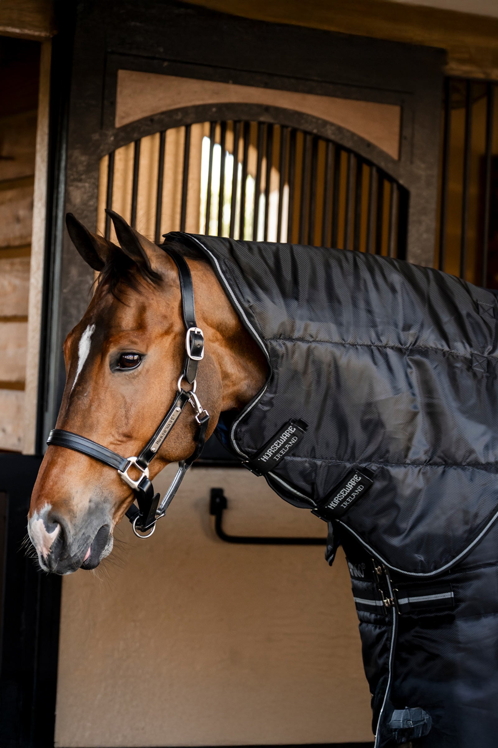 Horseware Amigo Ripstop Insulator Plus istállótakaró, 200 g Lótakarók
