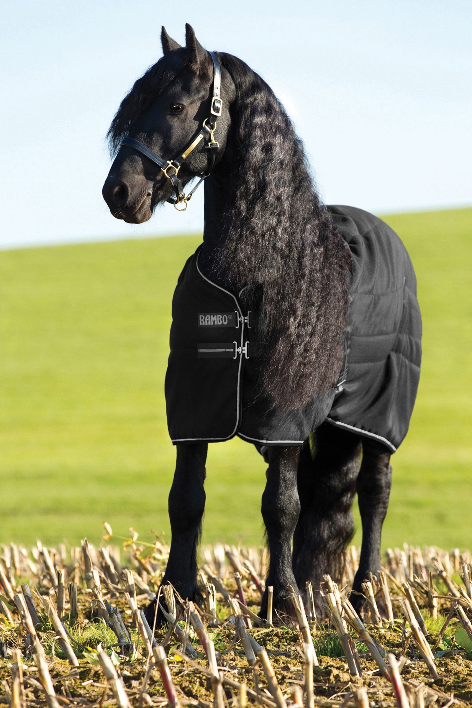 Horseware Rambo Stable Szőnyeg, 200g Lótakarók