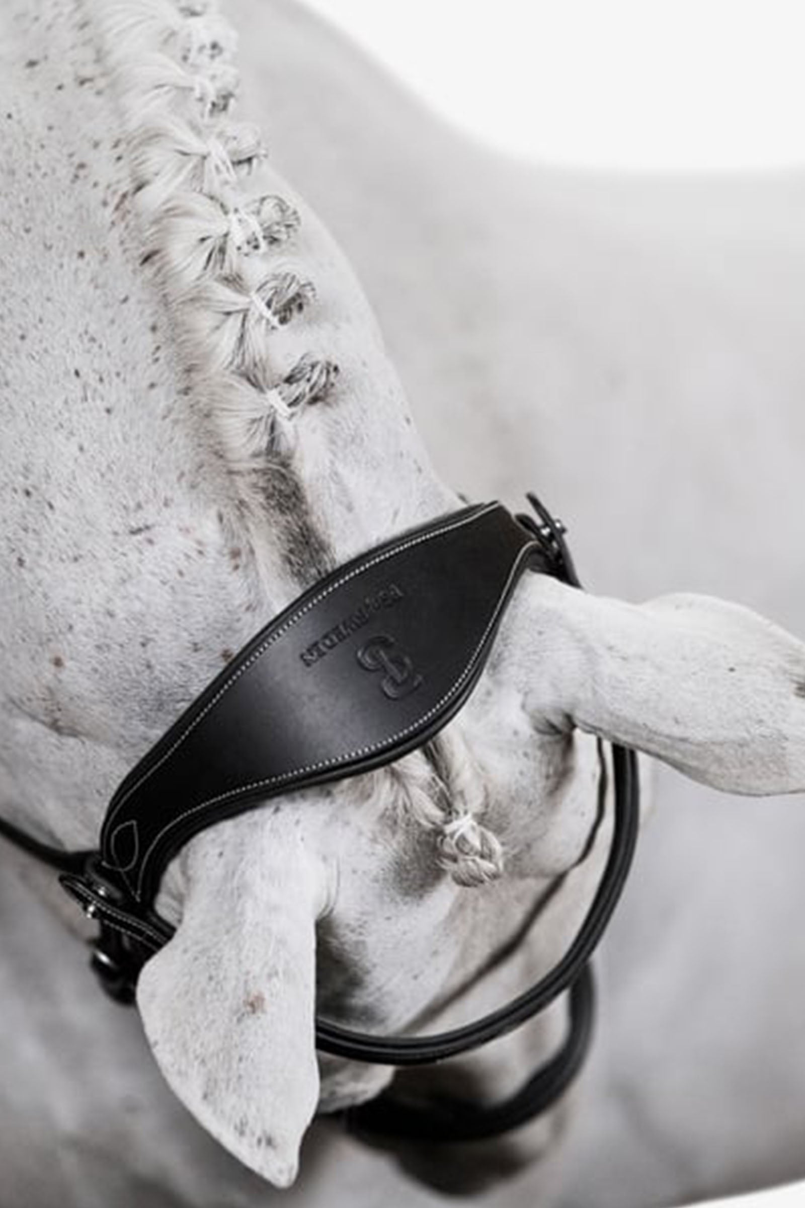 PS of Sweden Bridle Ocala Bridles & Reins