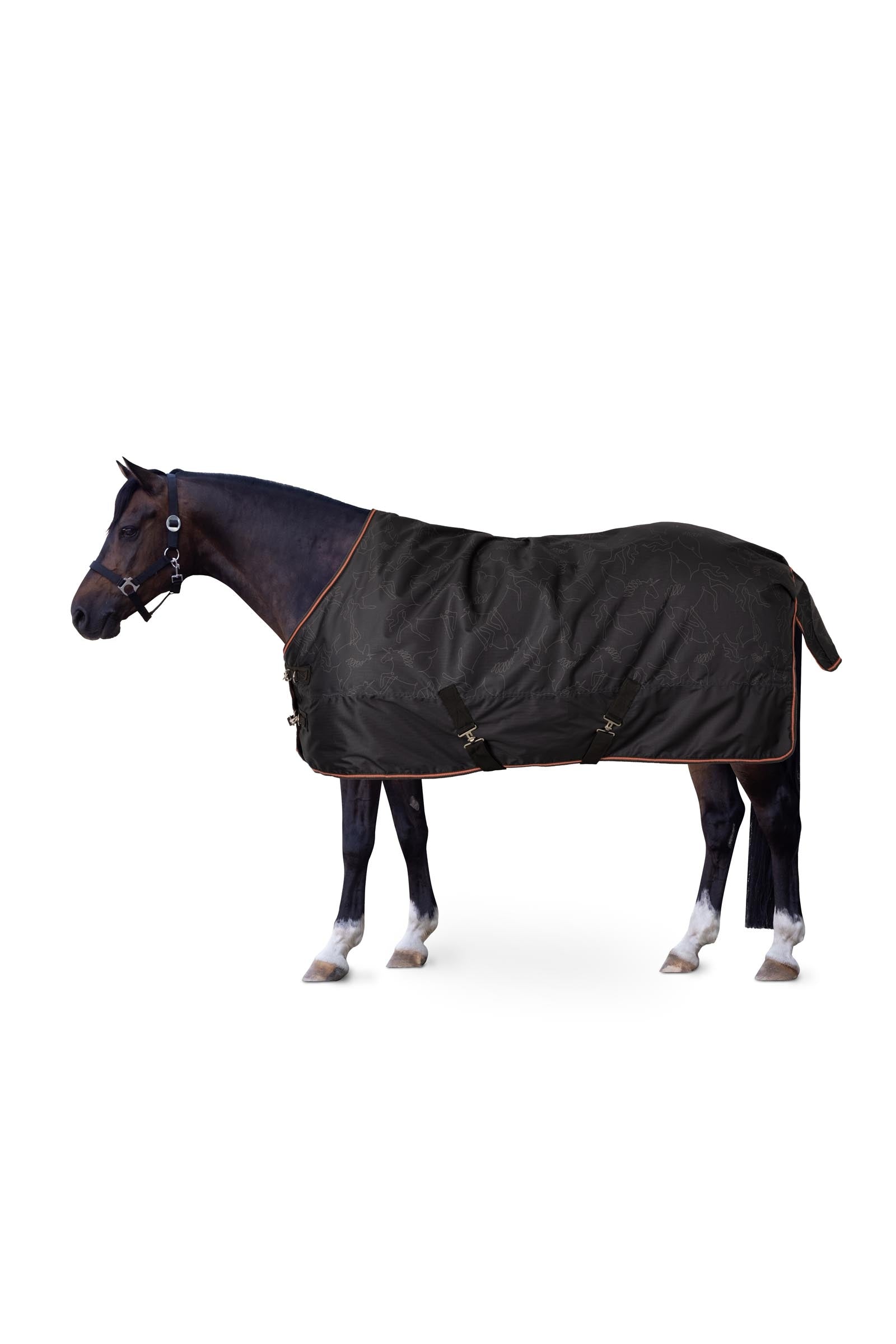 Horze Pegasus póni kültéri takaró 200 g/m² Lótakarók