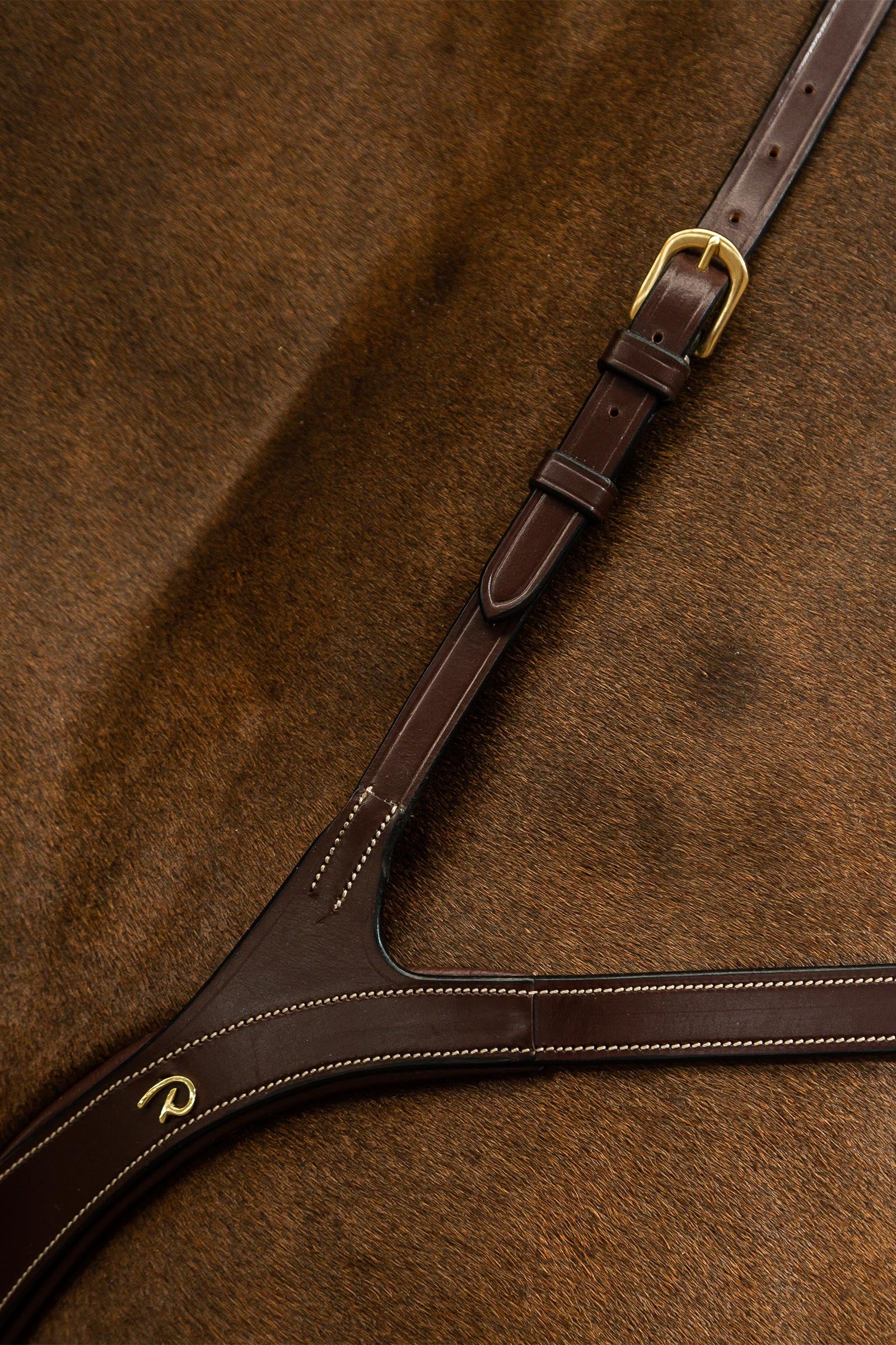 Dy'on D Collection Long Bridge Breastplate Bridles & Reins