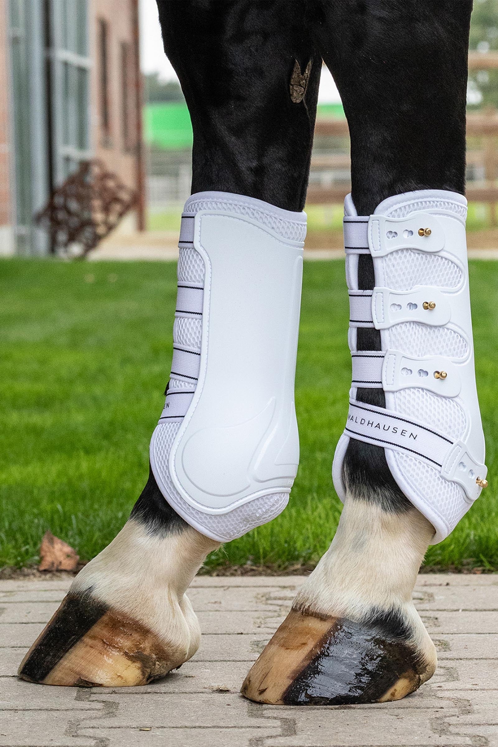 Waldhausen Breath Tendon Boots (Pair) Leg Protection & Hoof Protection for Horses
