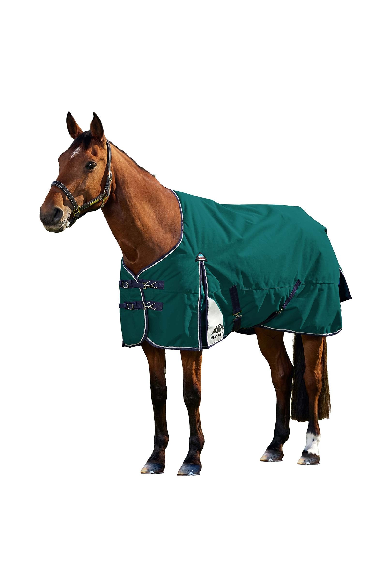 Weatherbeeta ComFiTecPlus Dynamic Turnout Standard Neck 0G Horse Rugs