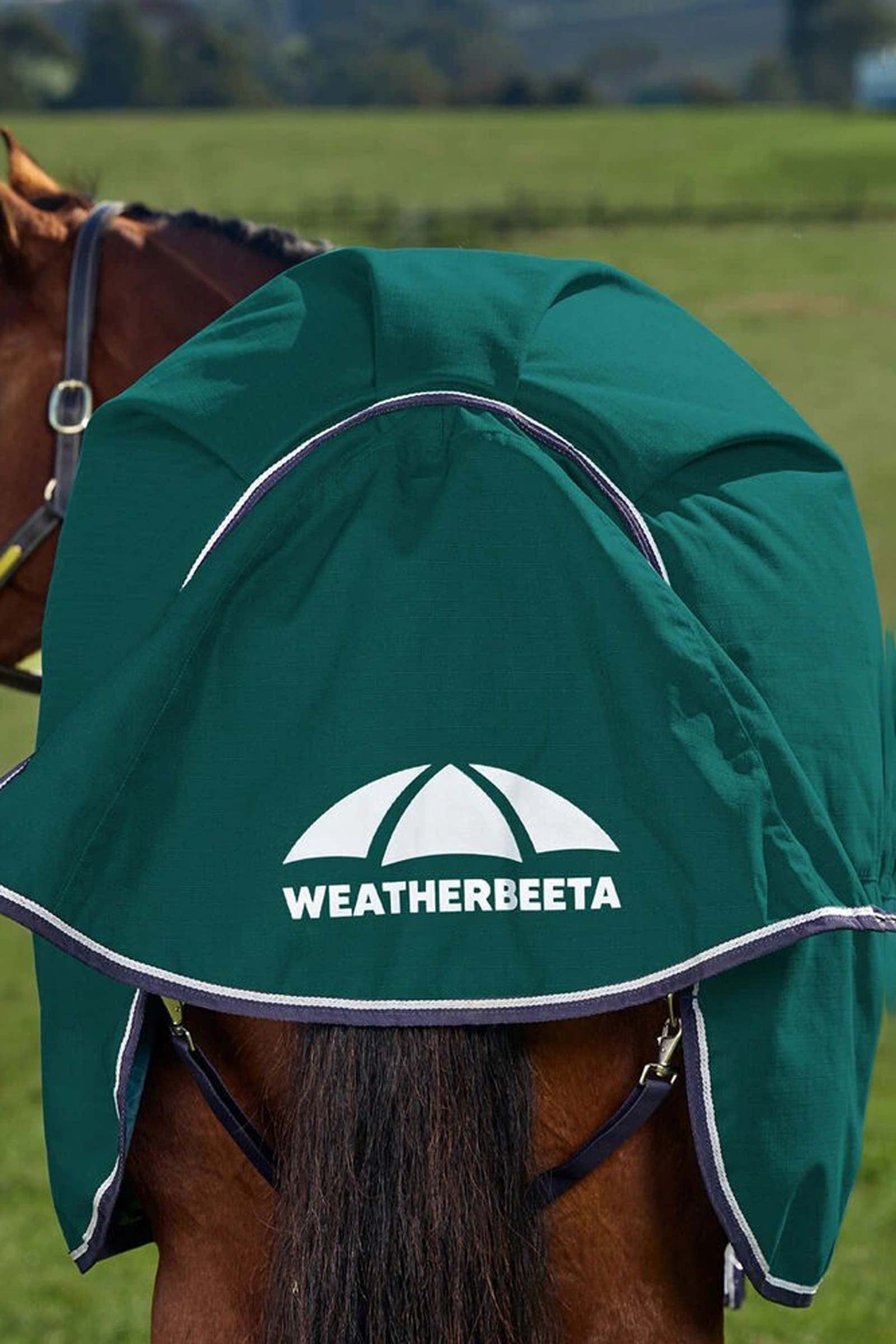 Weatherbeeta ComFiTecPlus Dynamic Turnout Standard Neck 0G Horse Rugs
