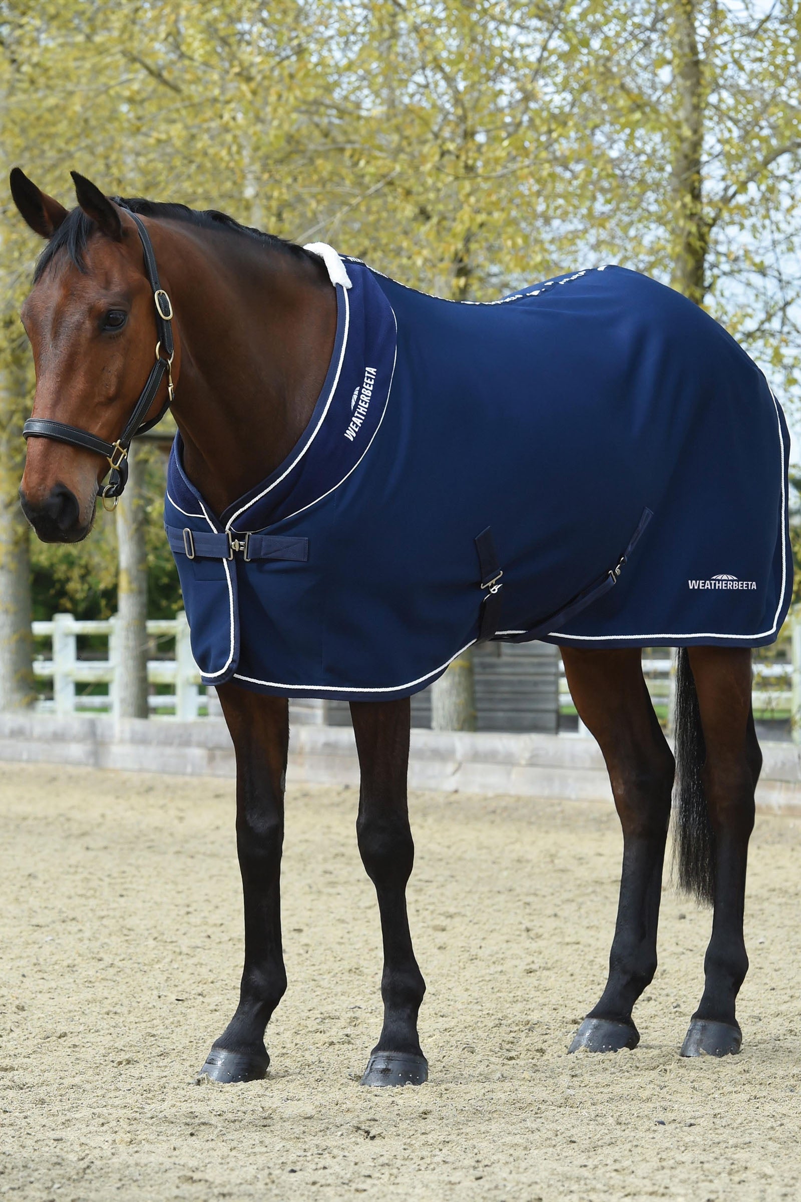 Weatherbeeta Opulence Show takaró Standard nyak Lótakarók