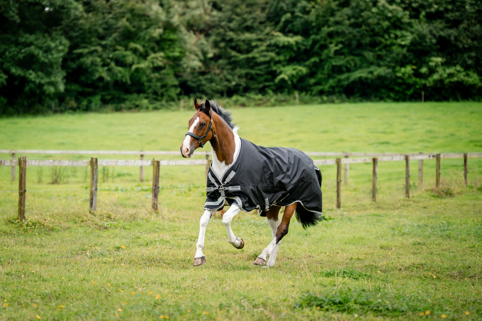 Horseware Amigo 1200D kültéri takaró, 100 g Lótakarók