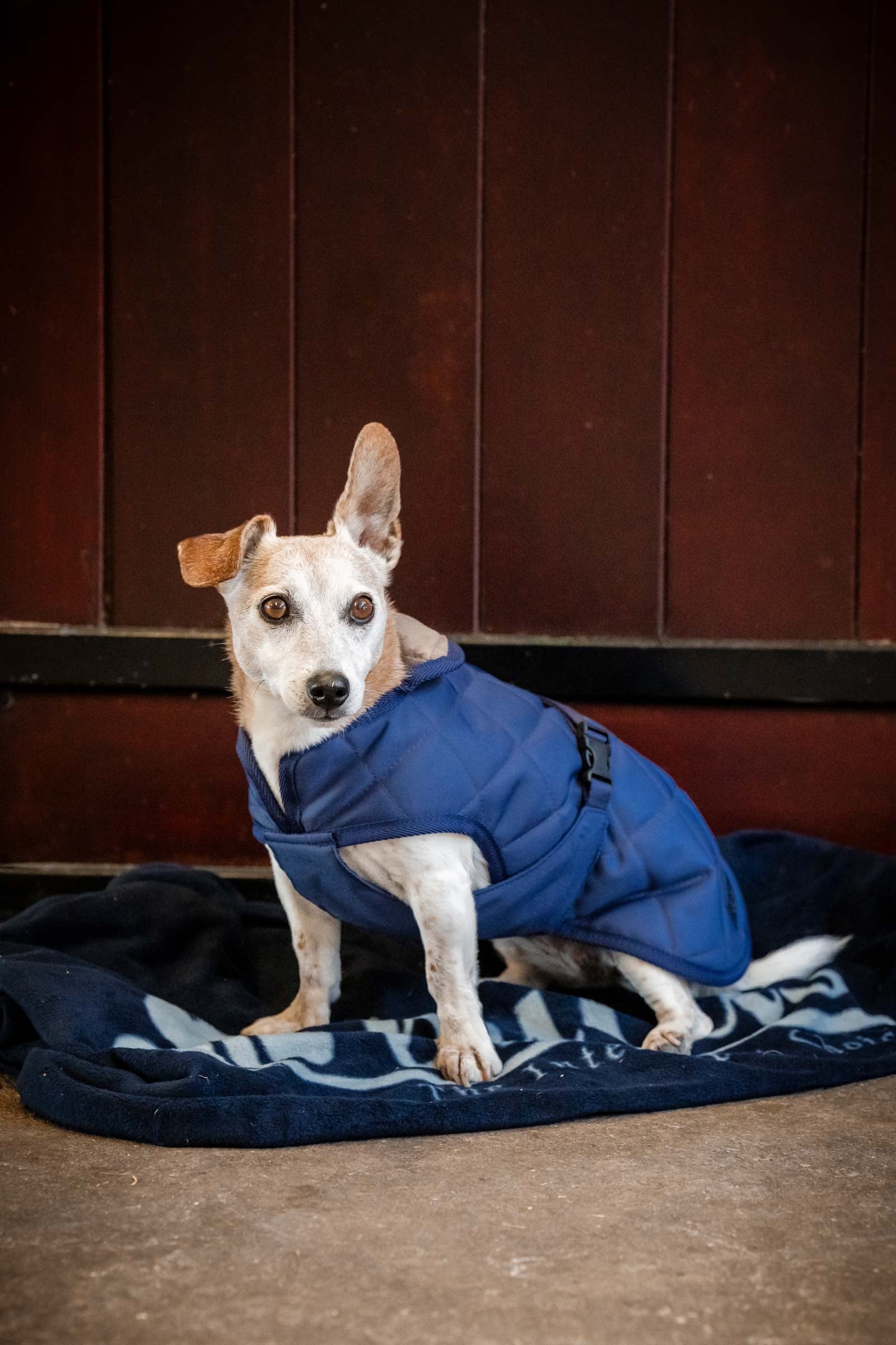 Bucas Cosy Dog Rug Kutya